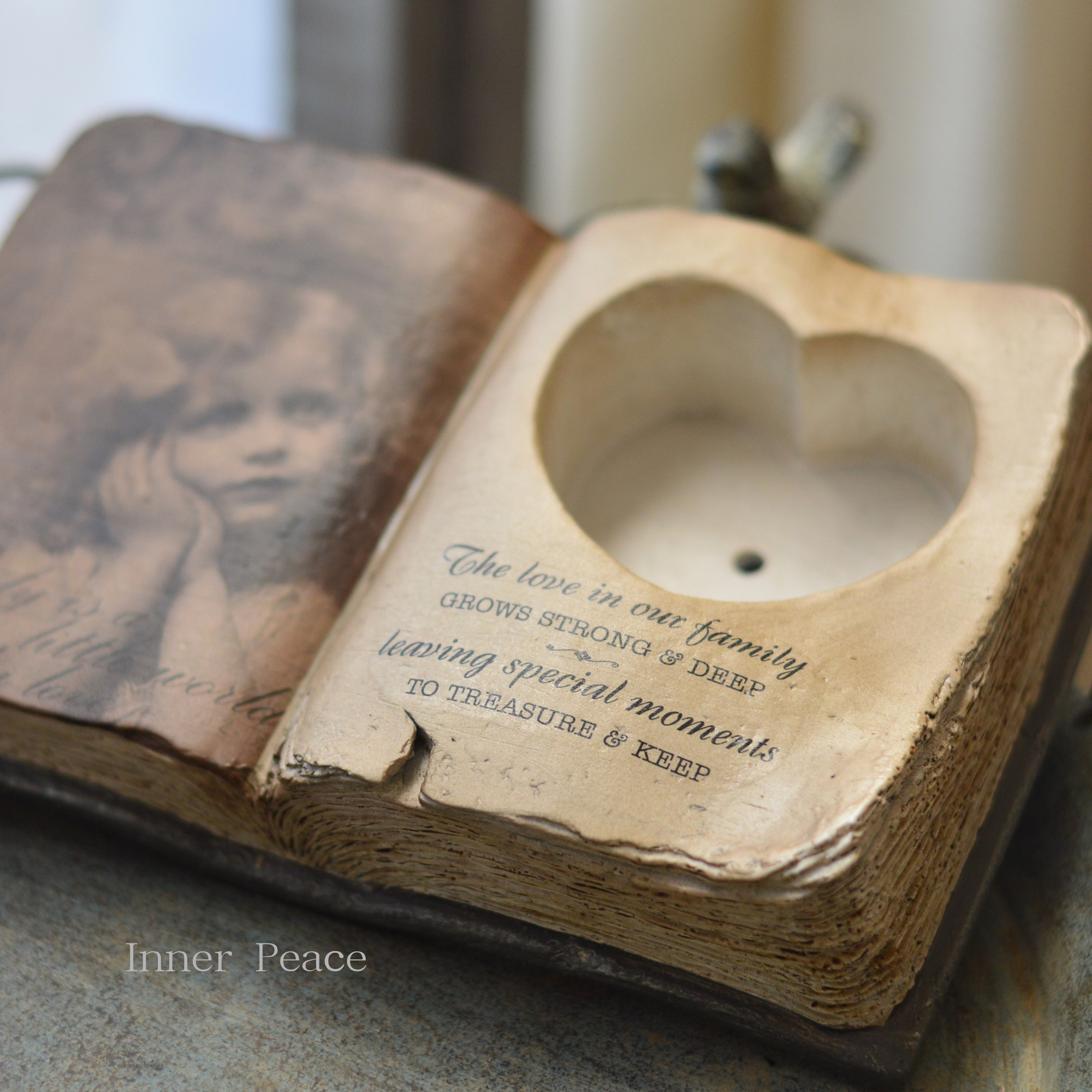 【東洋石創】 グリーンポット 『ブック型ポット』 (No.14430)