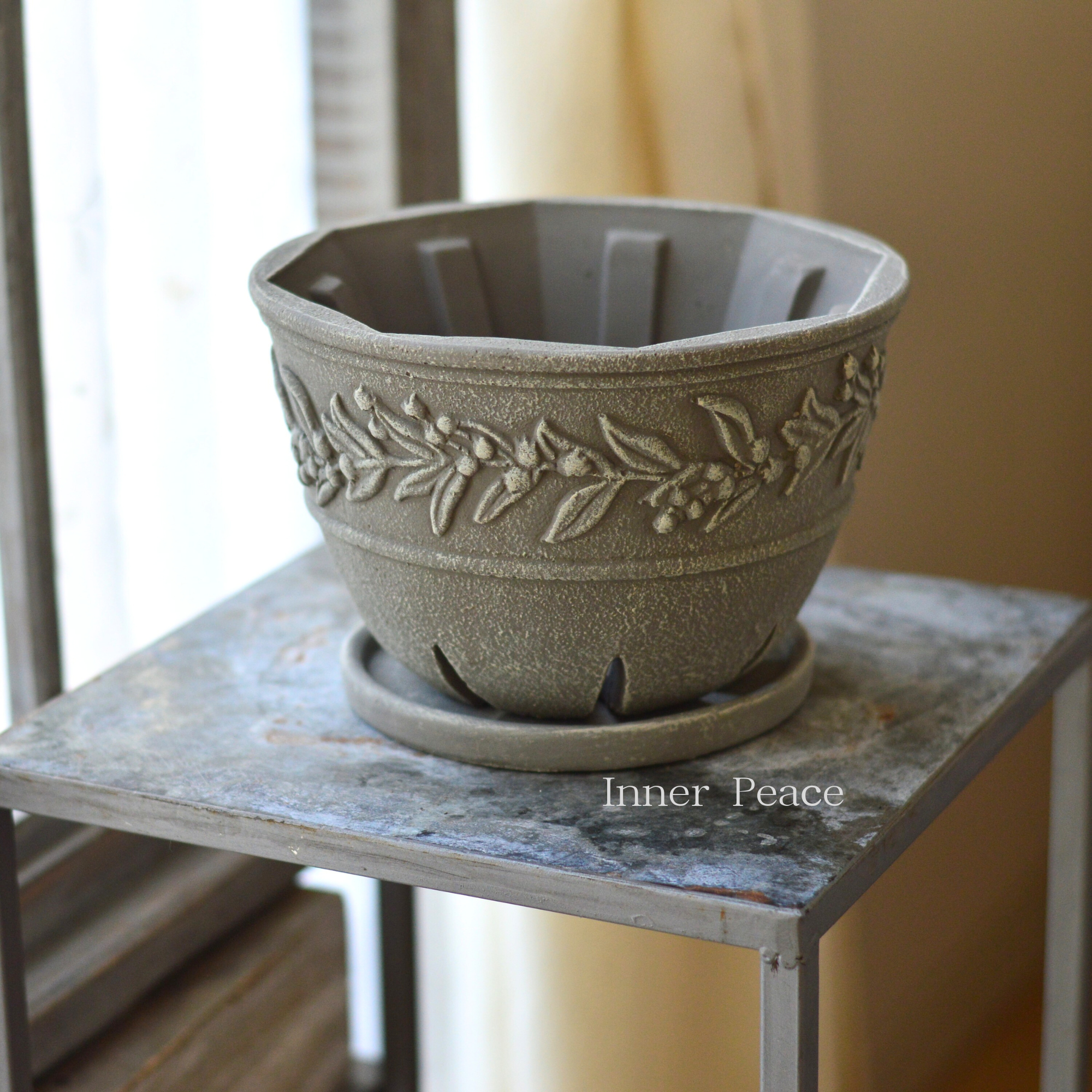 【DELLKI】 ラナ ロー 『グレー』 (KK07GYBB)