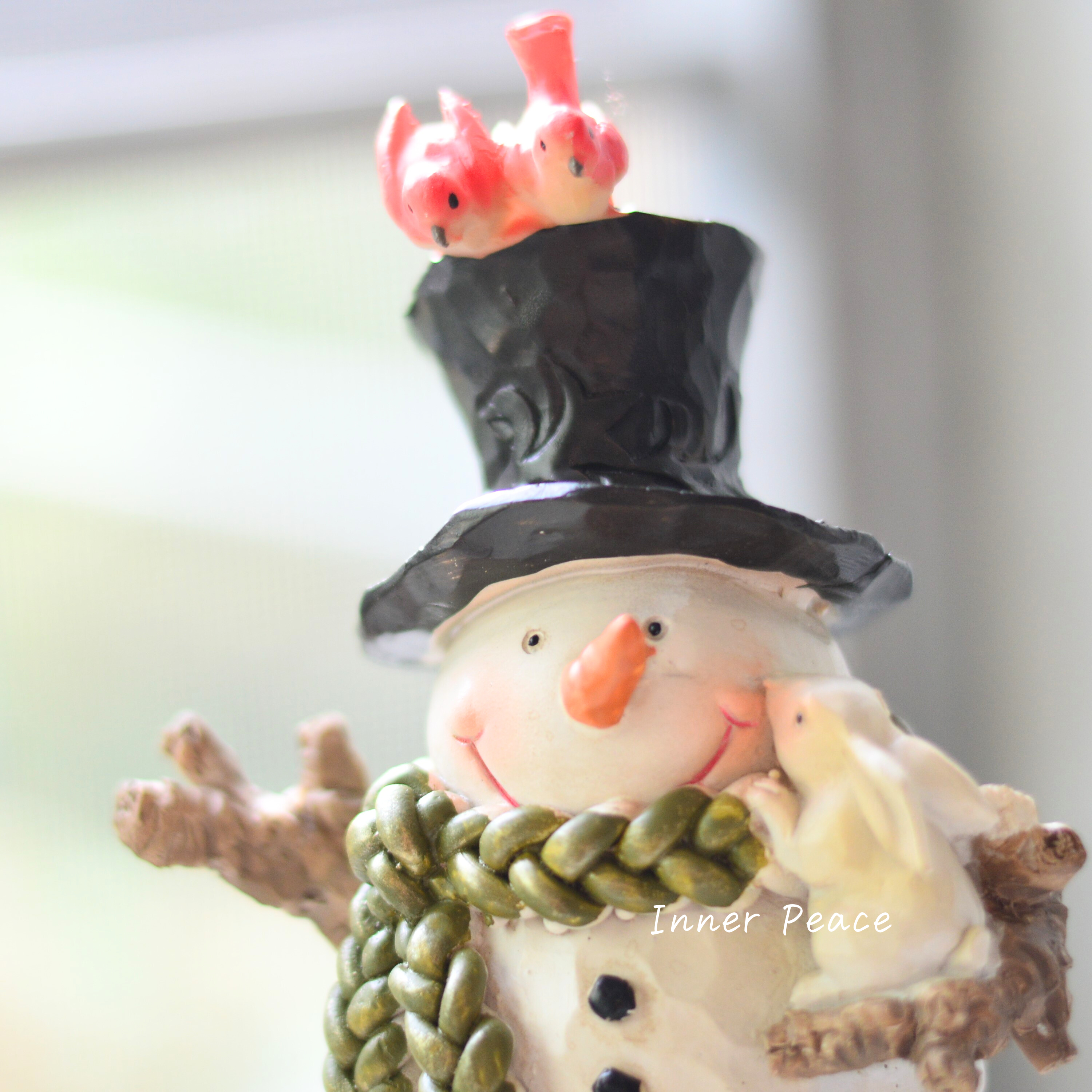 【CARNAC】 ノエルスノーマン04 (HGX21)