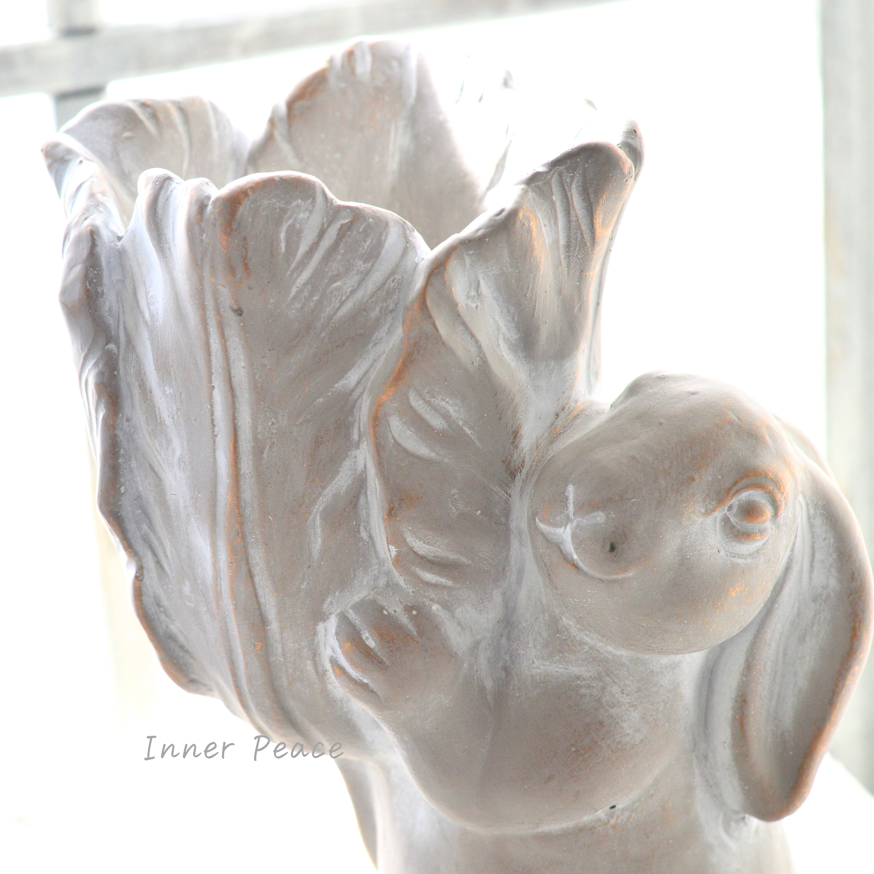 【DELLKI】 アグロスポット C