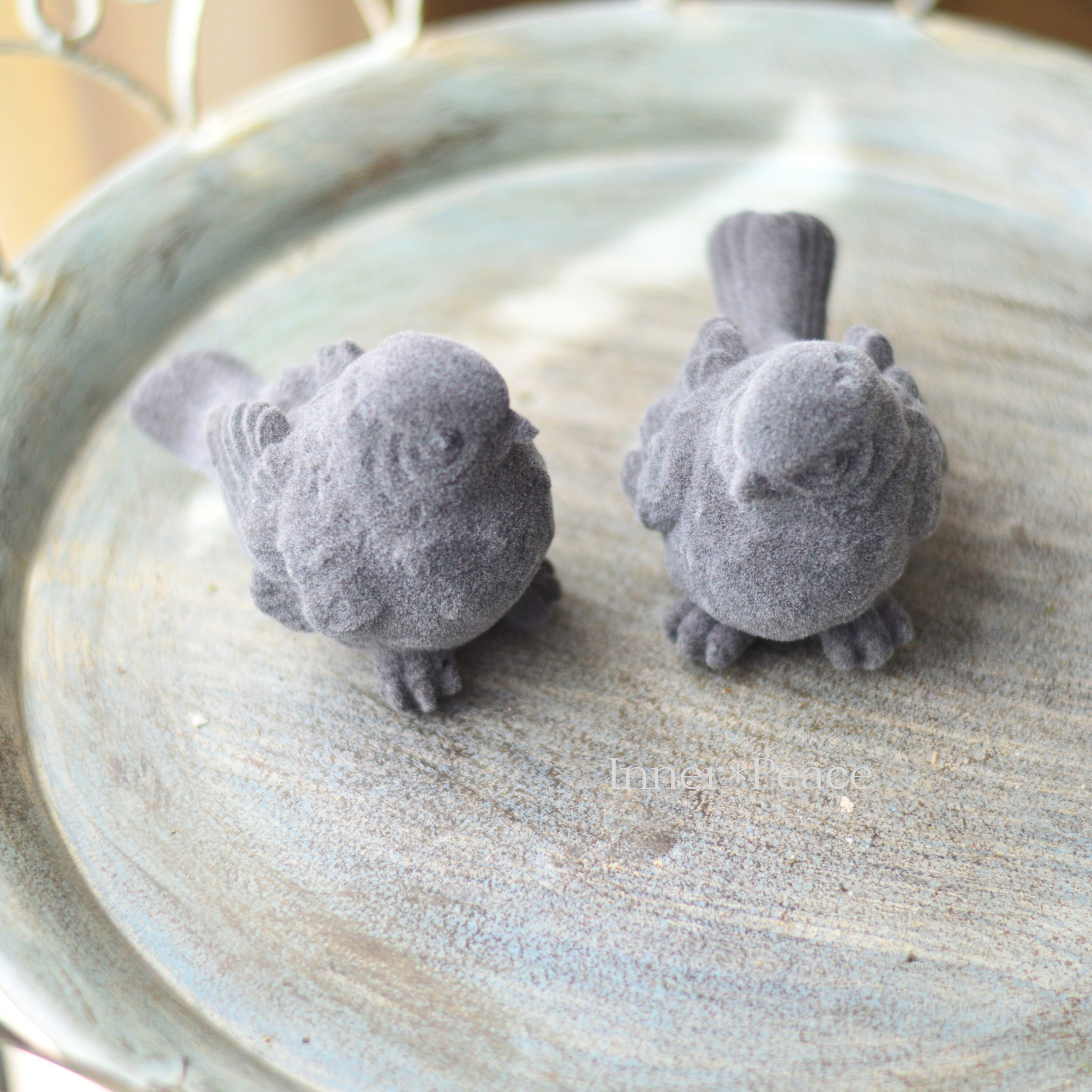 【COVENT GARDEN】 ツーディバード2種アソート (KW-82)