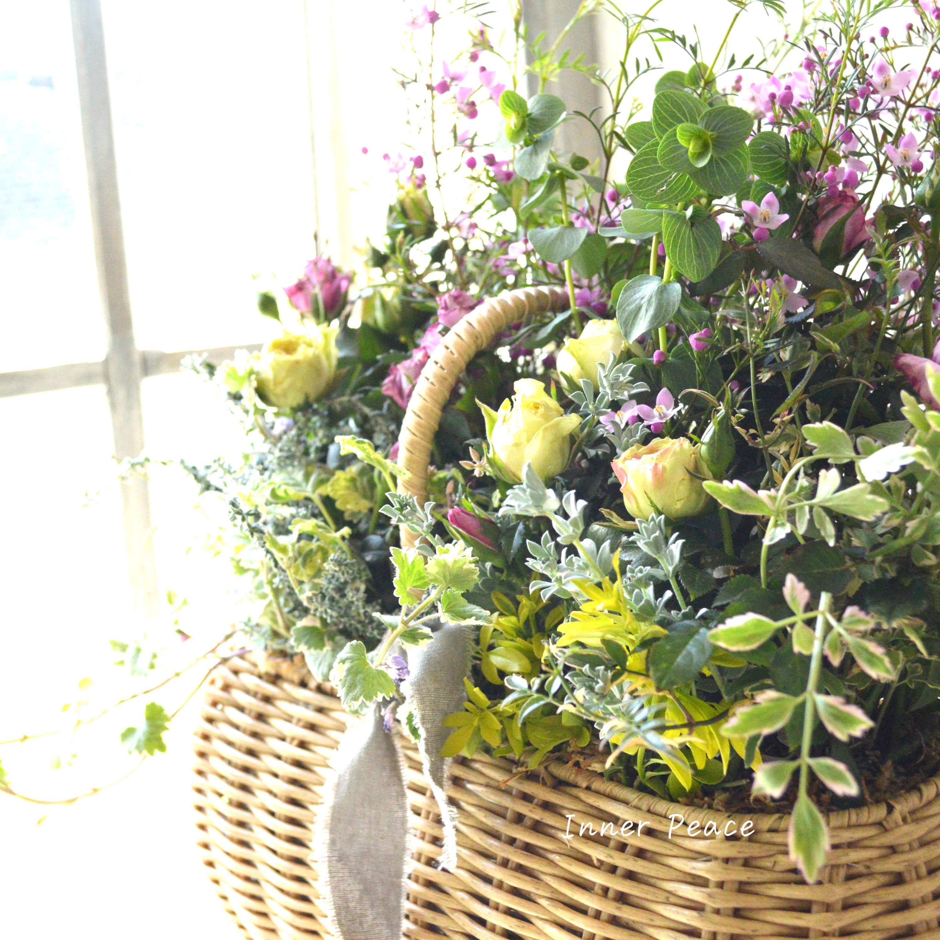 【春】 大人かわいいミニバラのバスケット