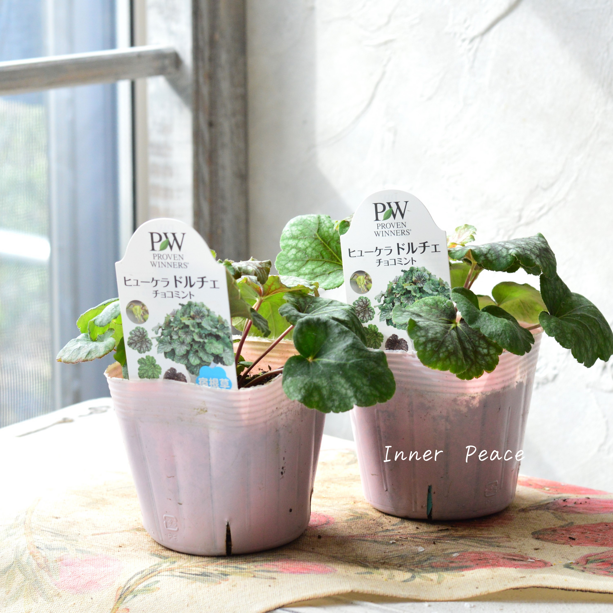 18f1fd7cdd00fc64043d283c3b366b