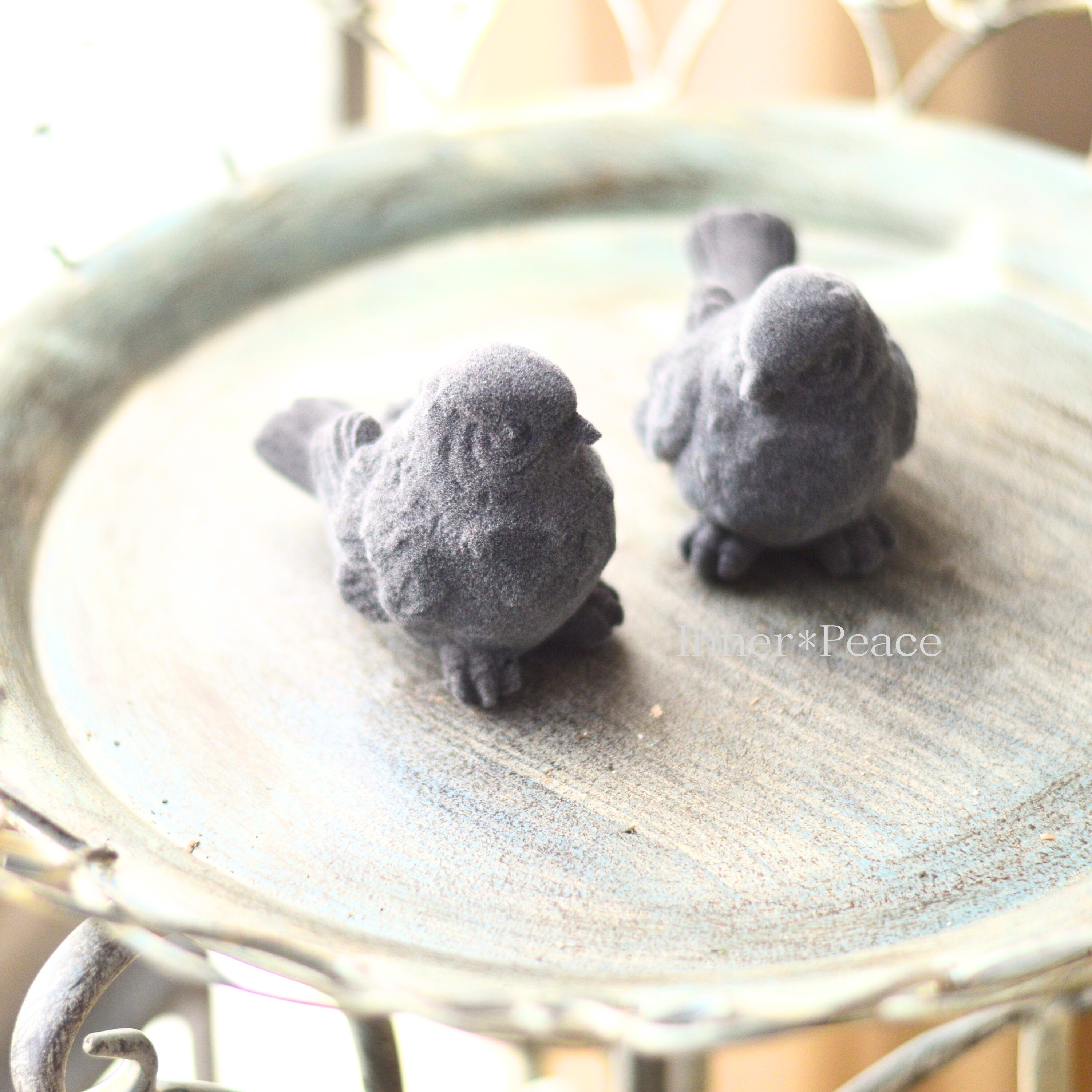 【COVENT GARDEN】 ツーディバード2種アソート (KW-82)