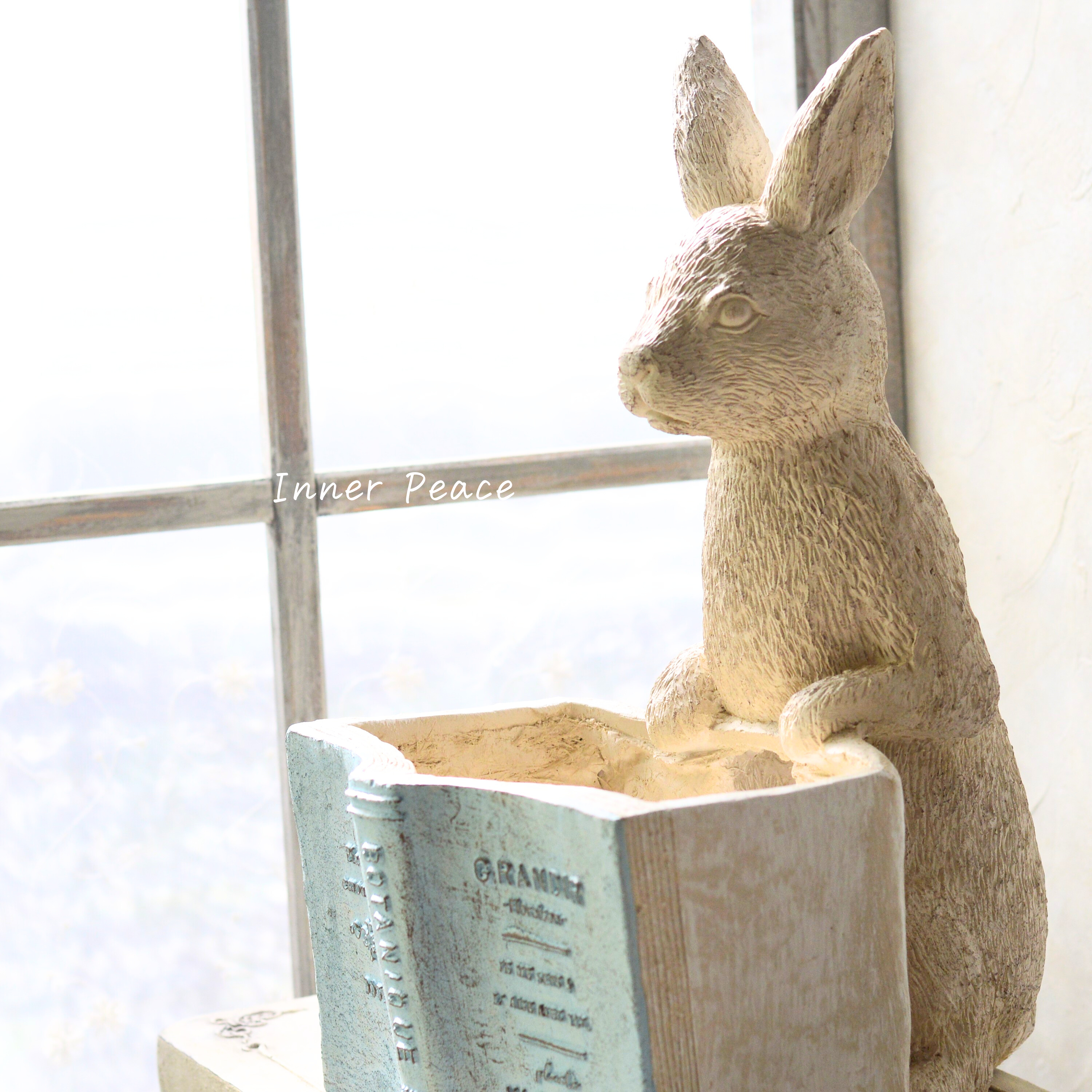 【友膳】 リーヴルラパンポット 『ブルー』 (GF4838)