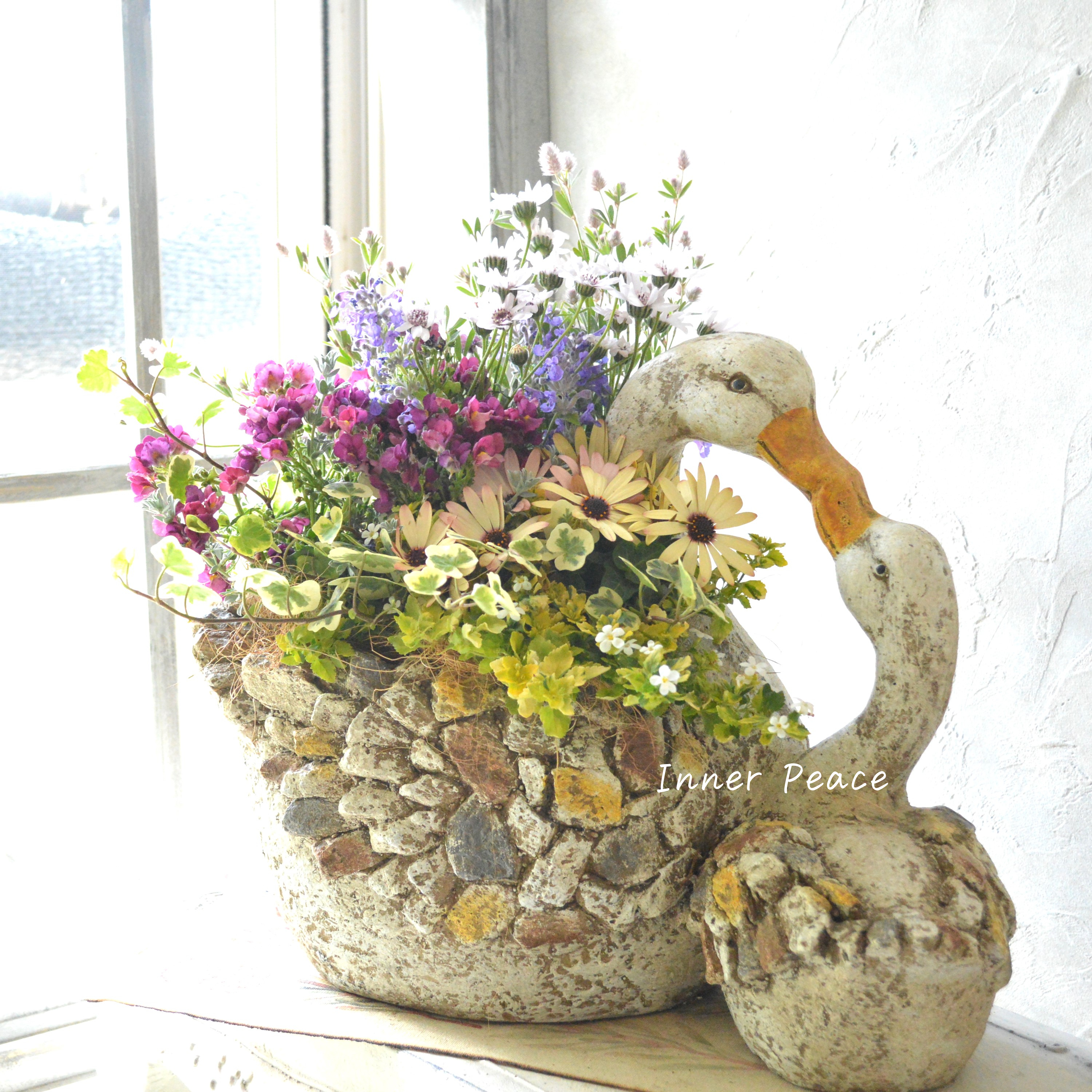 【春】 かわいいスワンの親子ポットでギャザリング