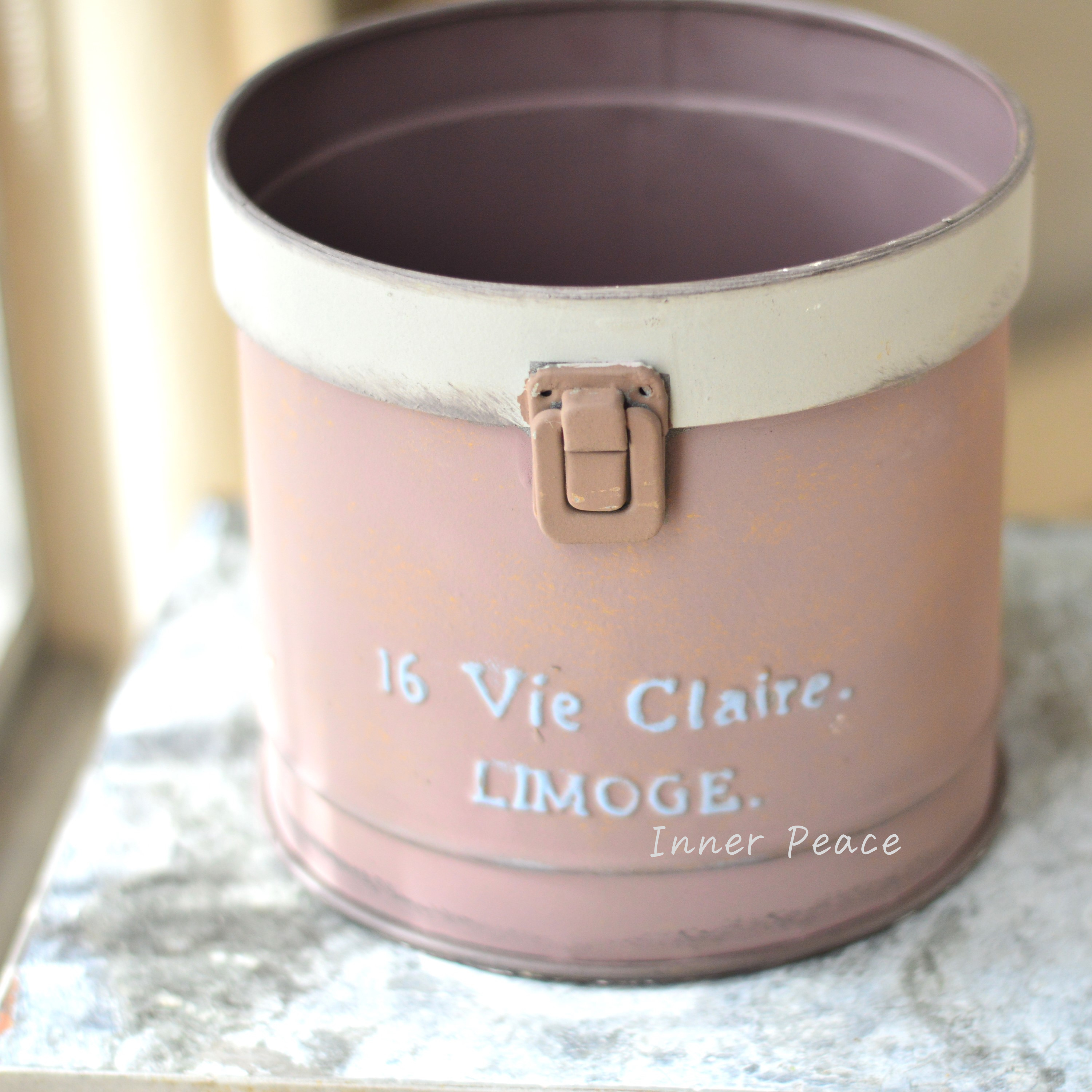 【友膳】 リモージュサークル 『SAP』 (UN2237)