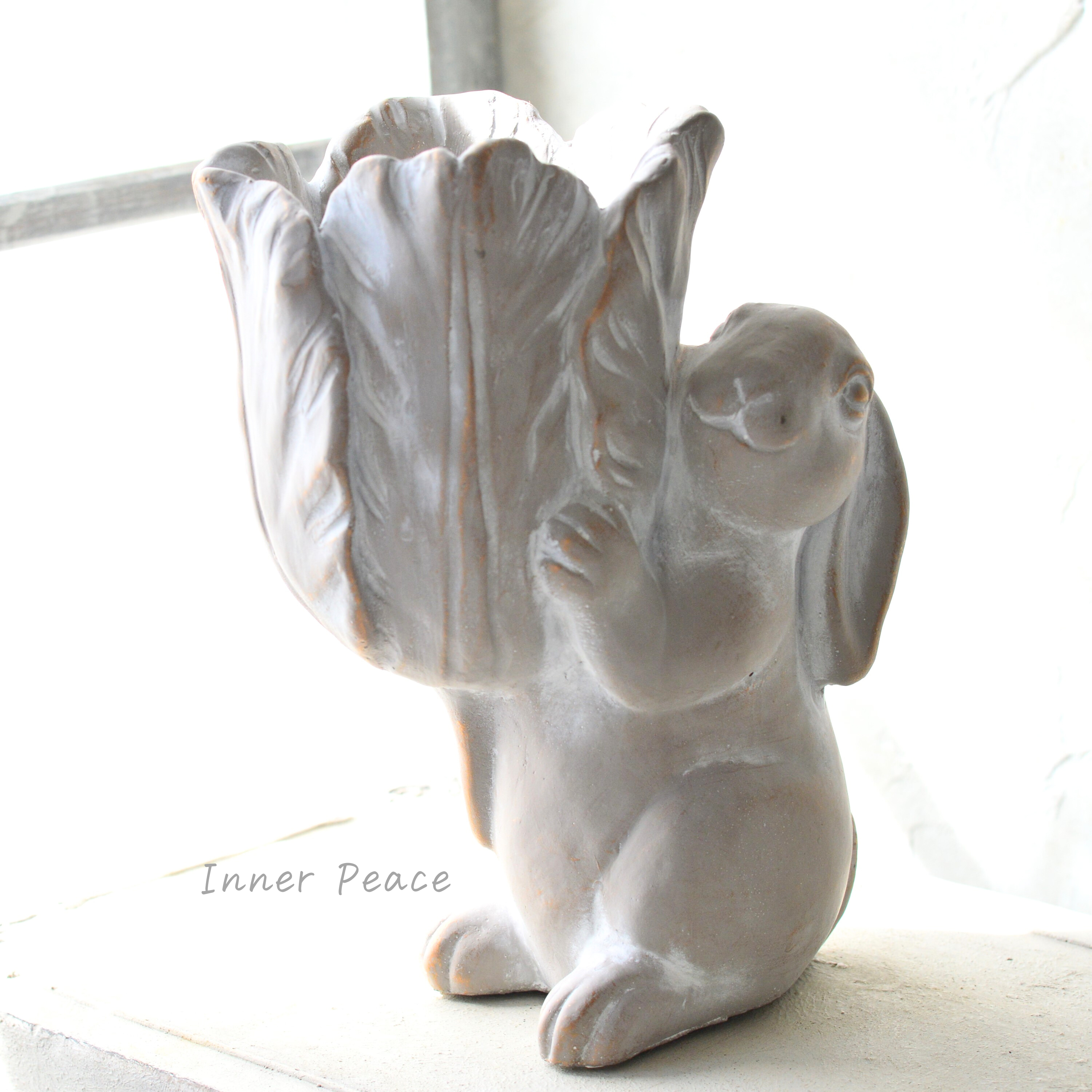 【DELLKI】 アグロスポット C