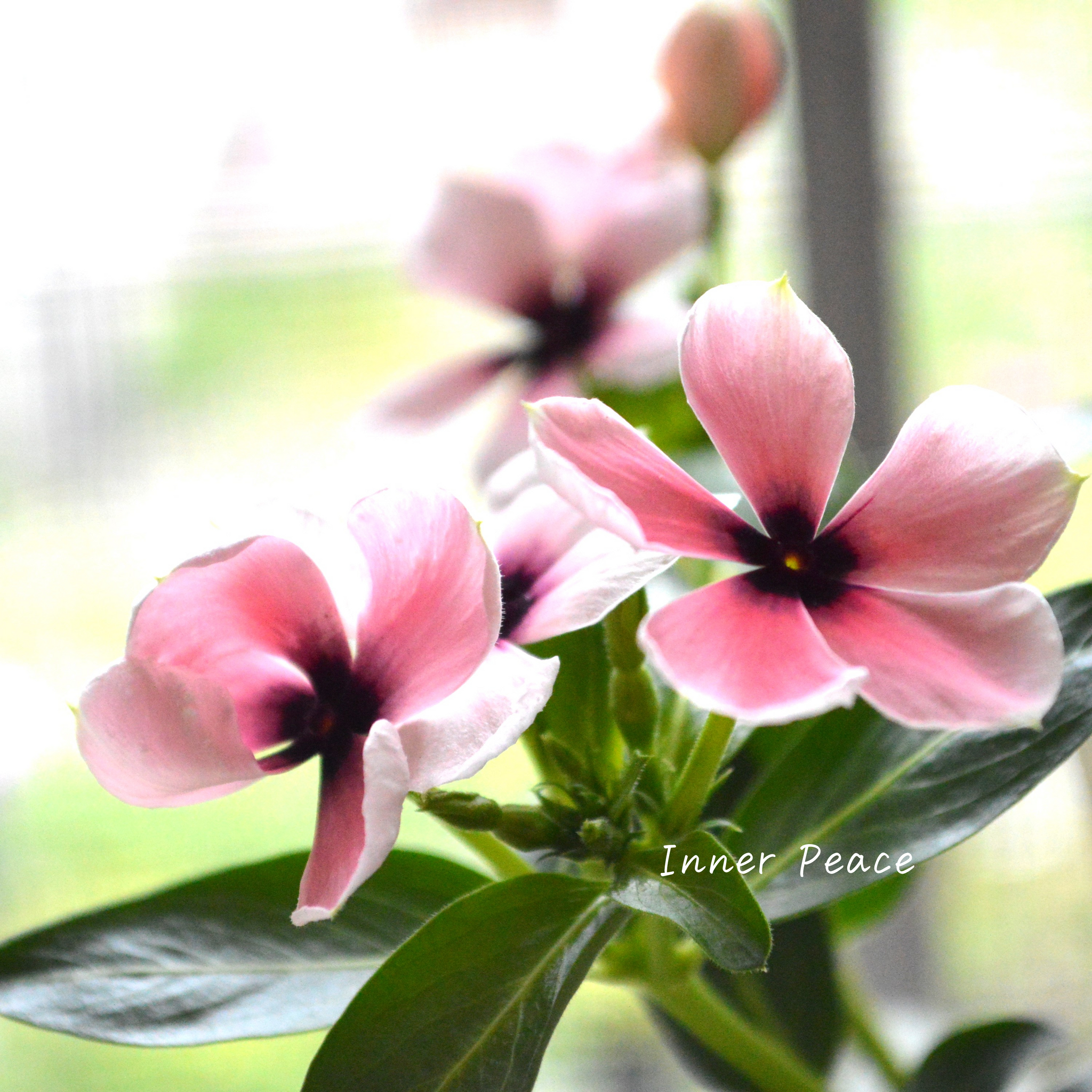 3e4b9dedd5e5e9f6c0aa18edeb03ac