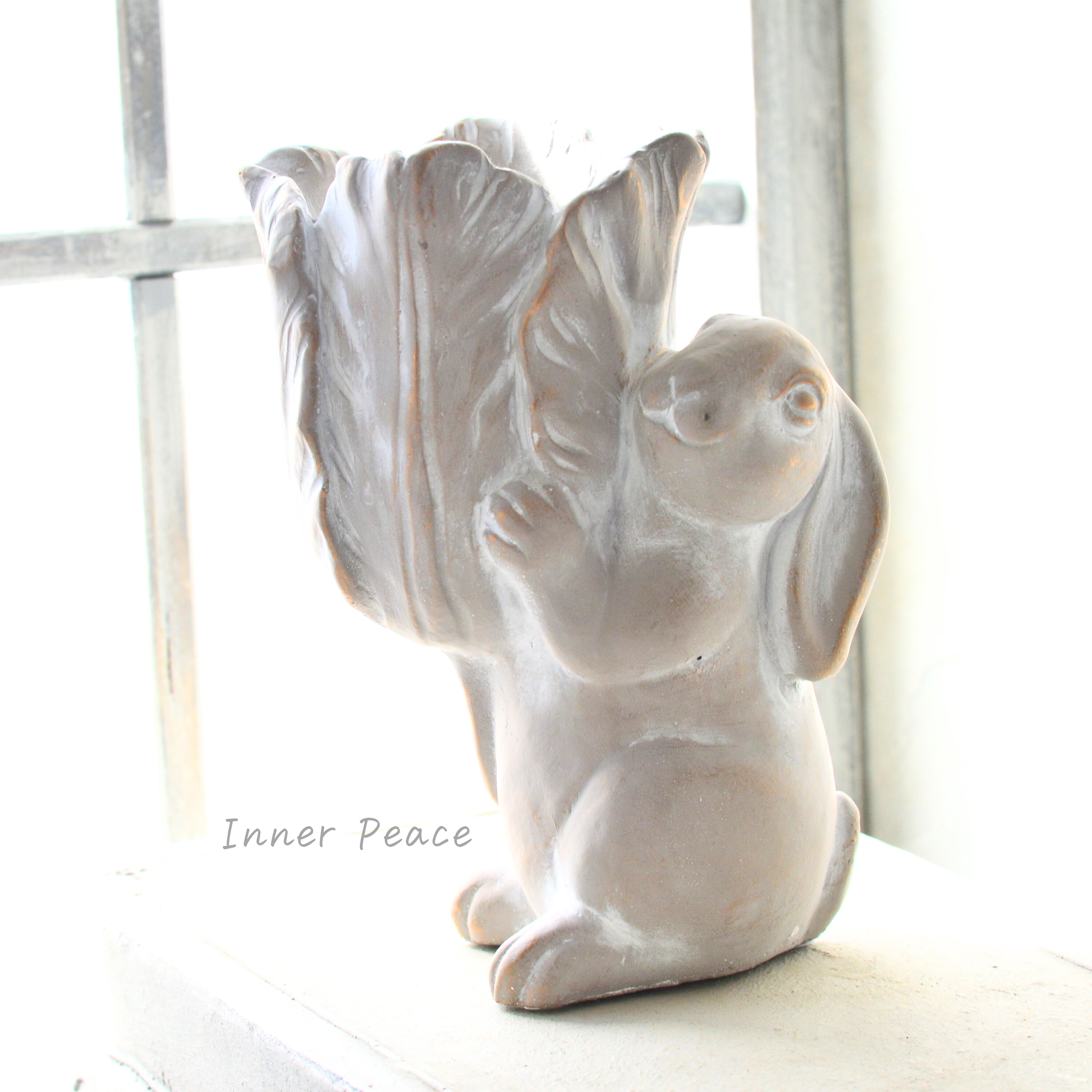 【DELLKI】 アグロスポット C