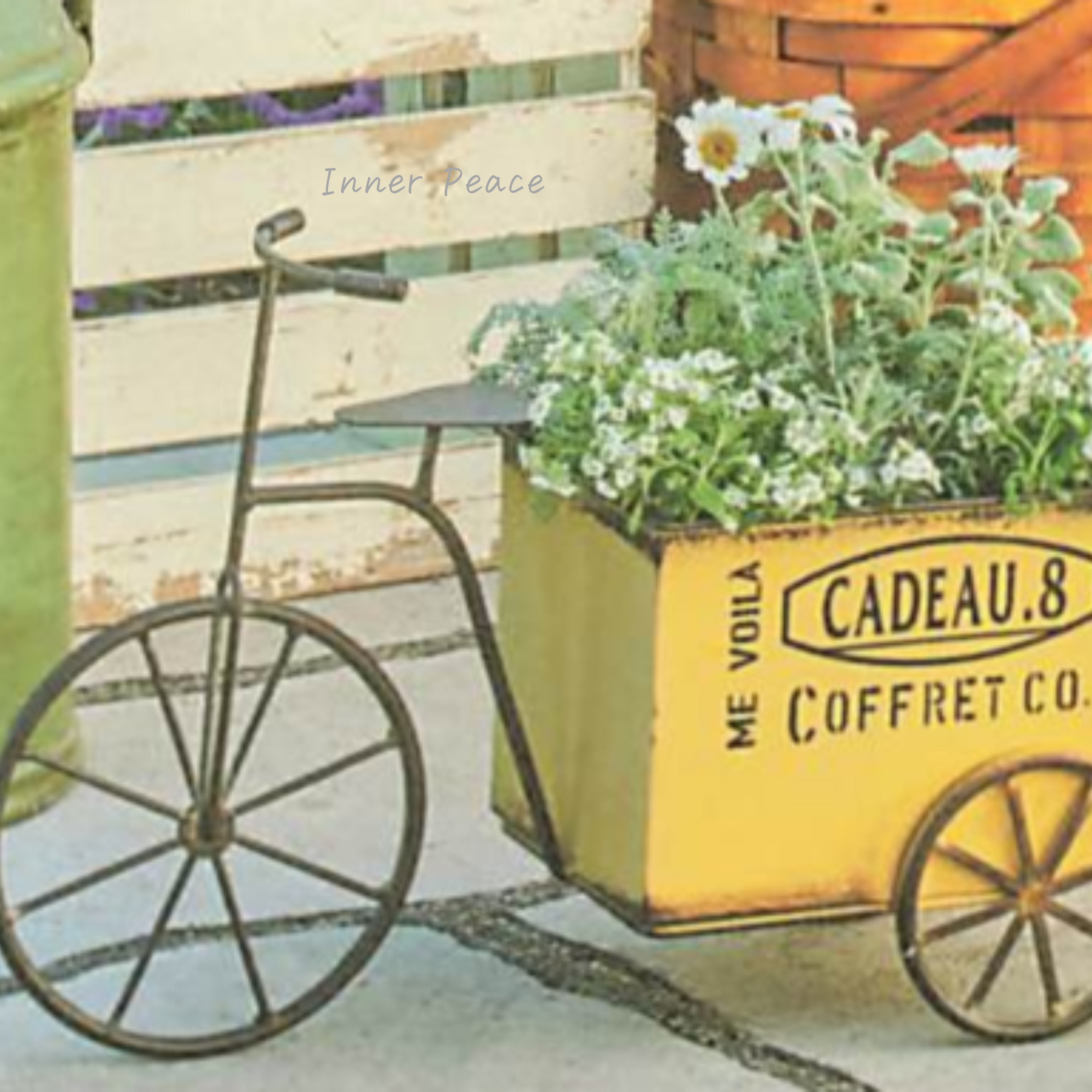 【友膳】 カドーカート イエロー (UA171)