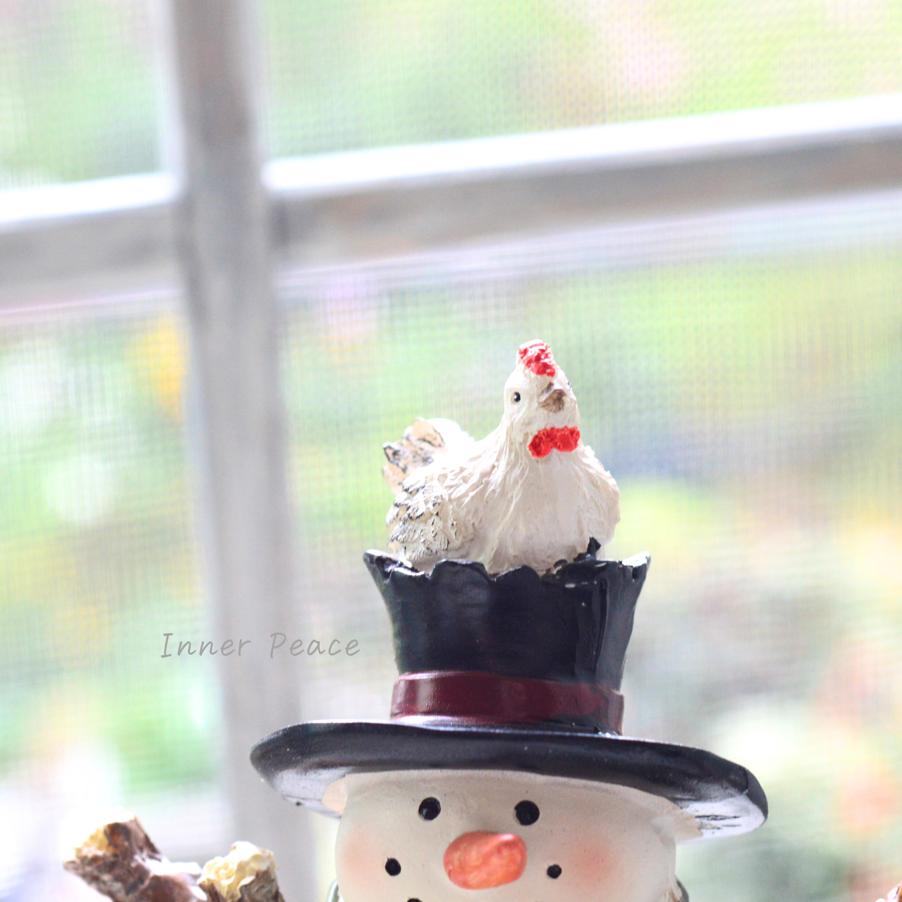 【CARNAC】 ノエルスノーマン06 (HGX23)