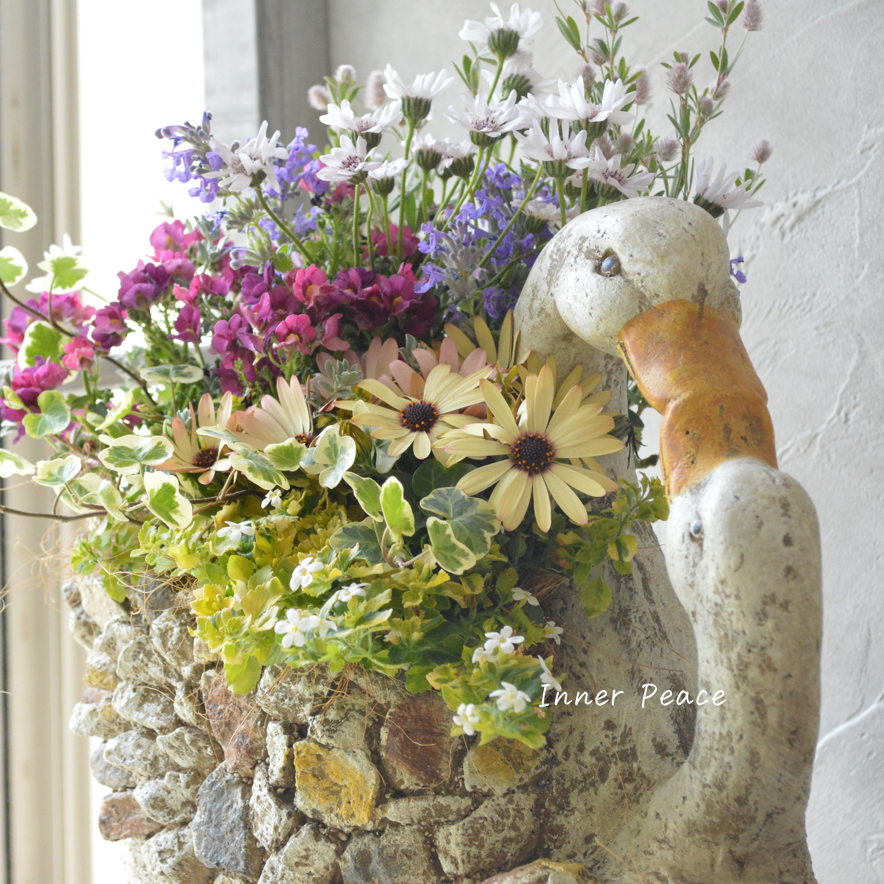 【春】 かわいいスワンの親子ポットでギャザリング