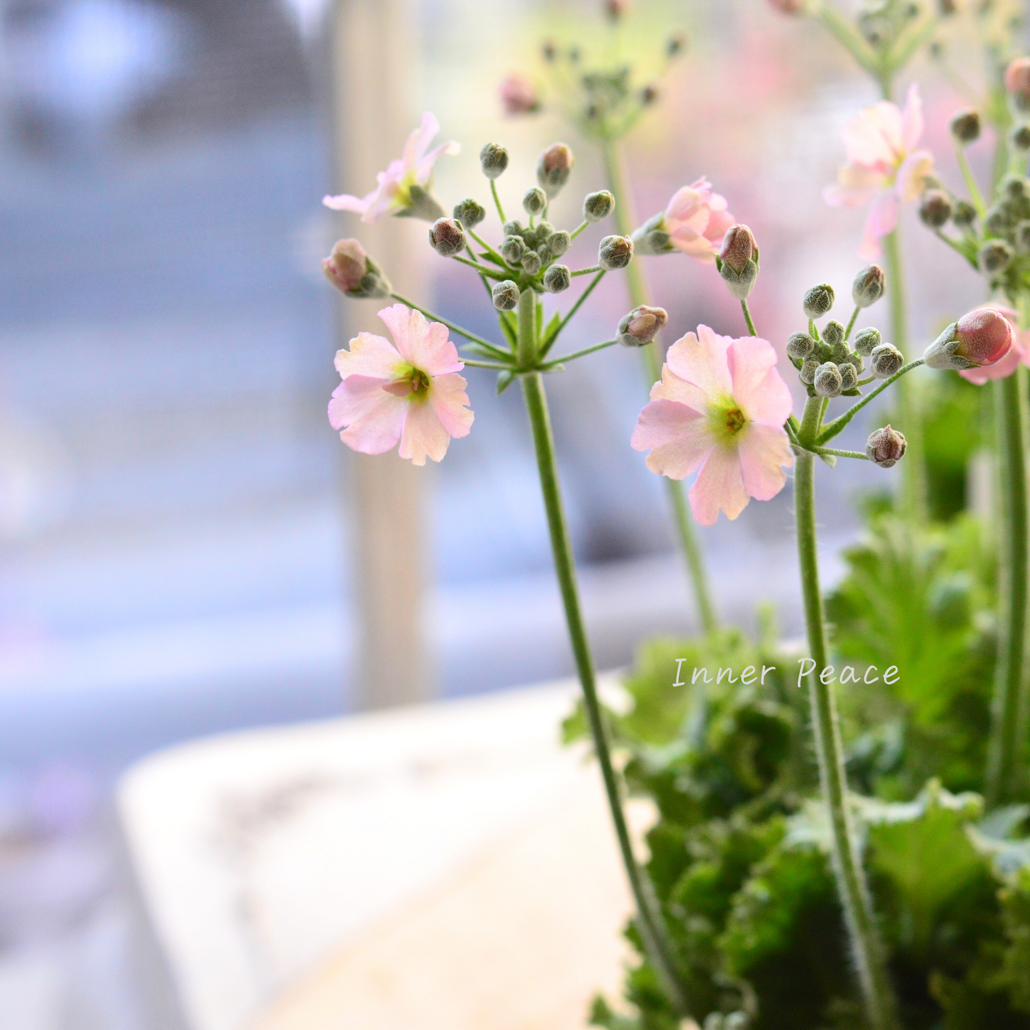 57dae8325b2136ce35e1fee1f0776e