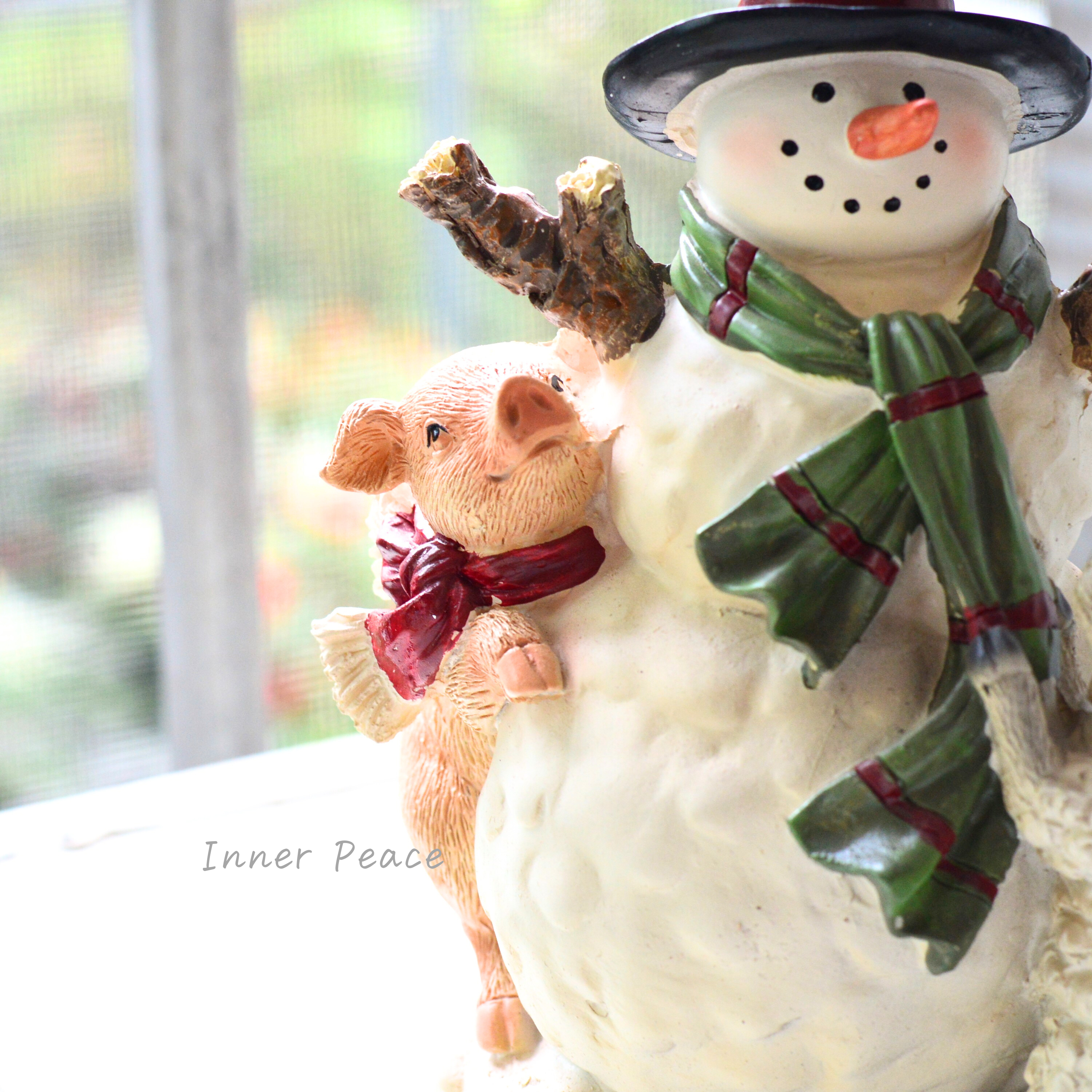 【CARNAC】 ノエルスノーマン06 (HGX23)