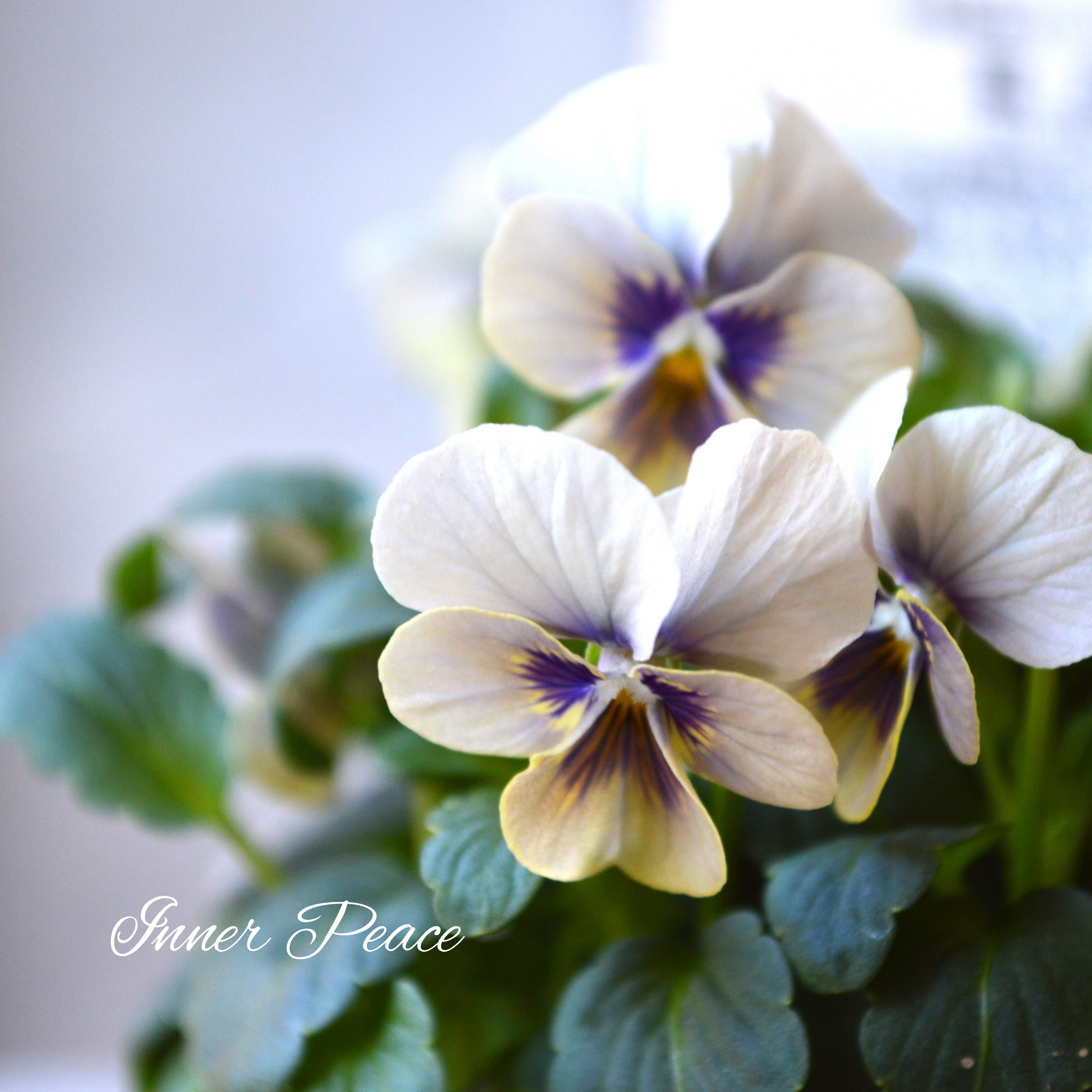 62698a00969be5c2a5f70179fa07b5