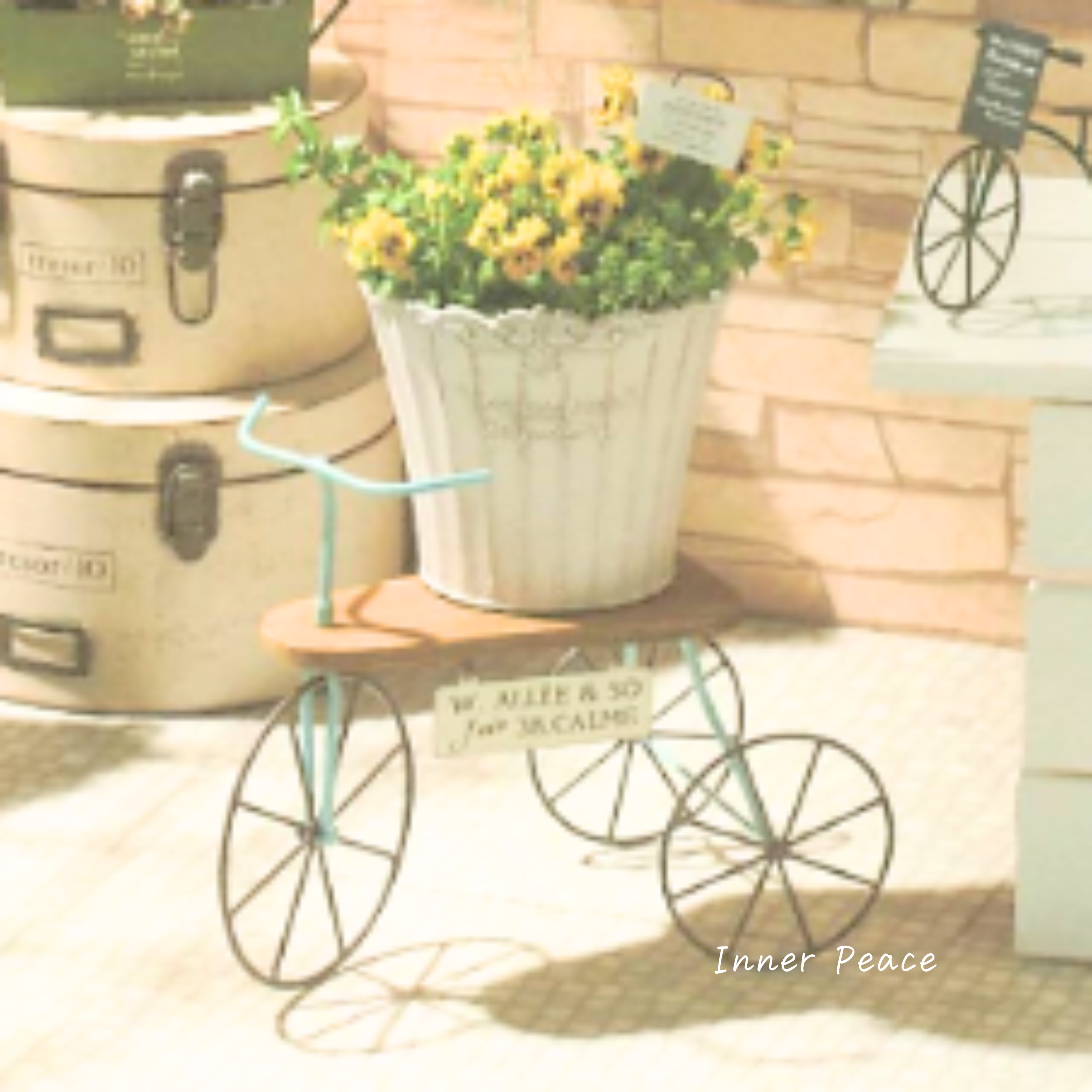 【友膳】 ボワセルバイク ブルー (MH1360)