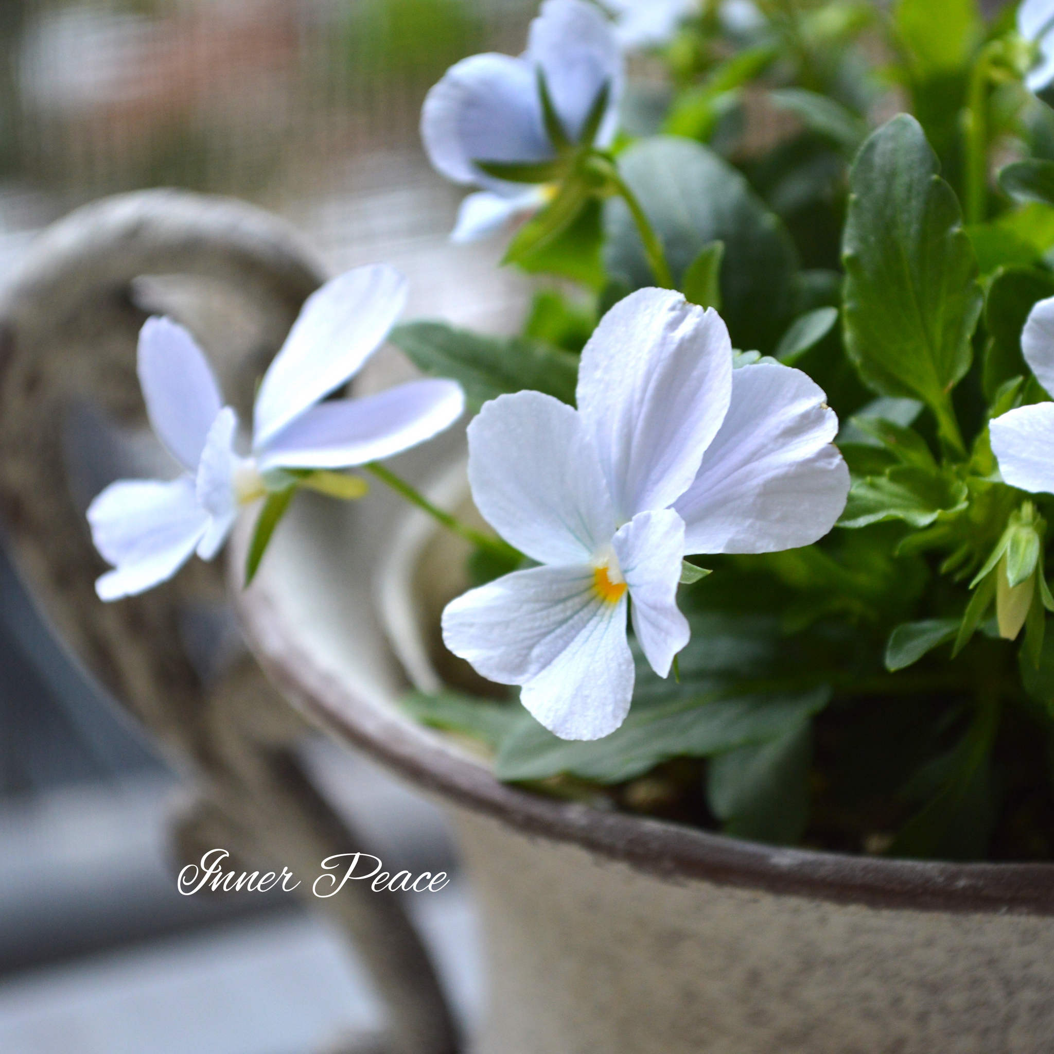 6ce8aa3b817234dcd433cd6d8cec2a