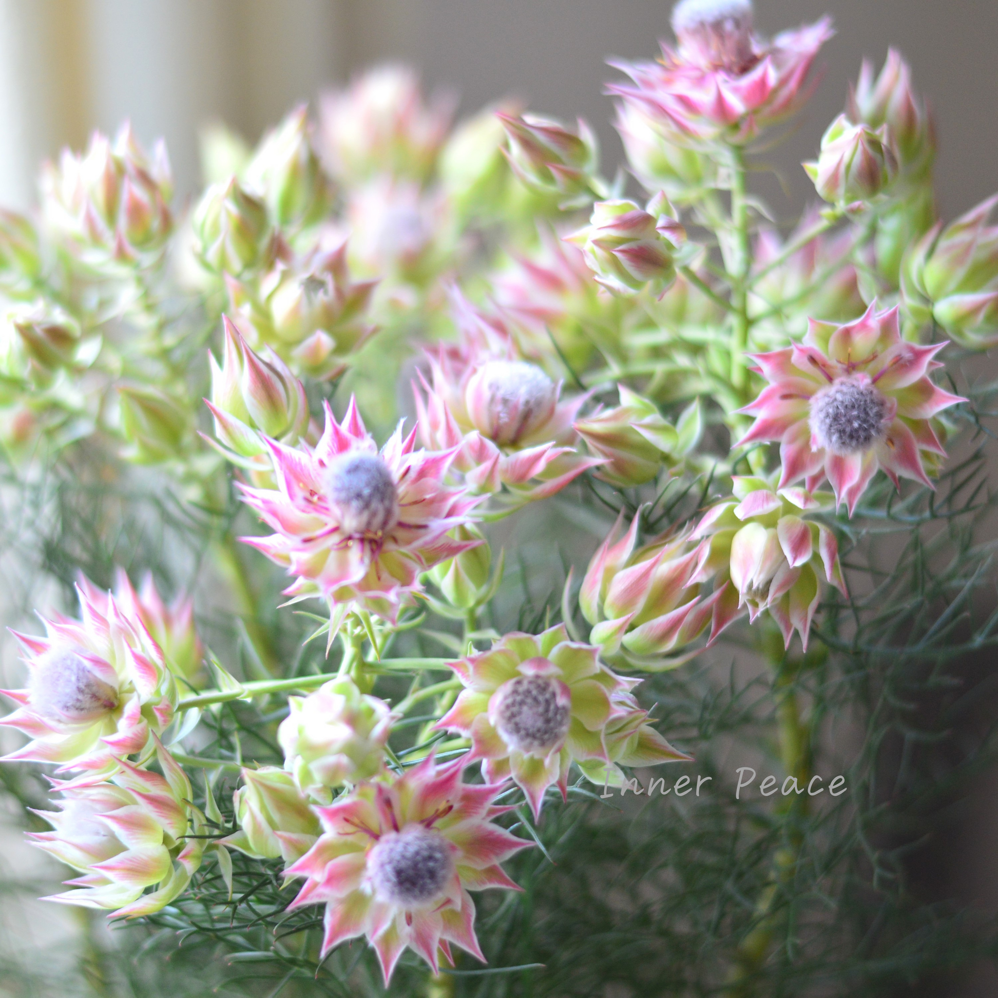 75fff619ef96b0ed961deb13970555