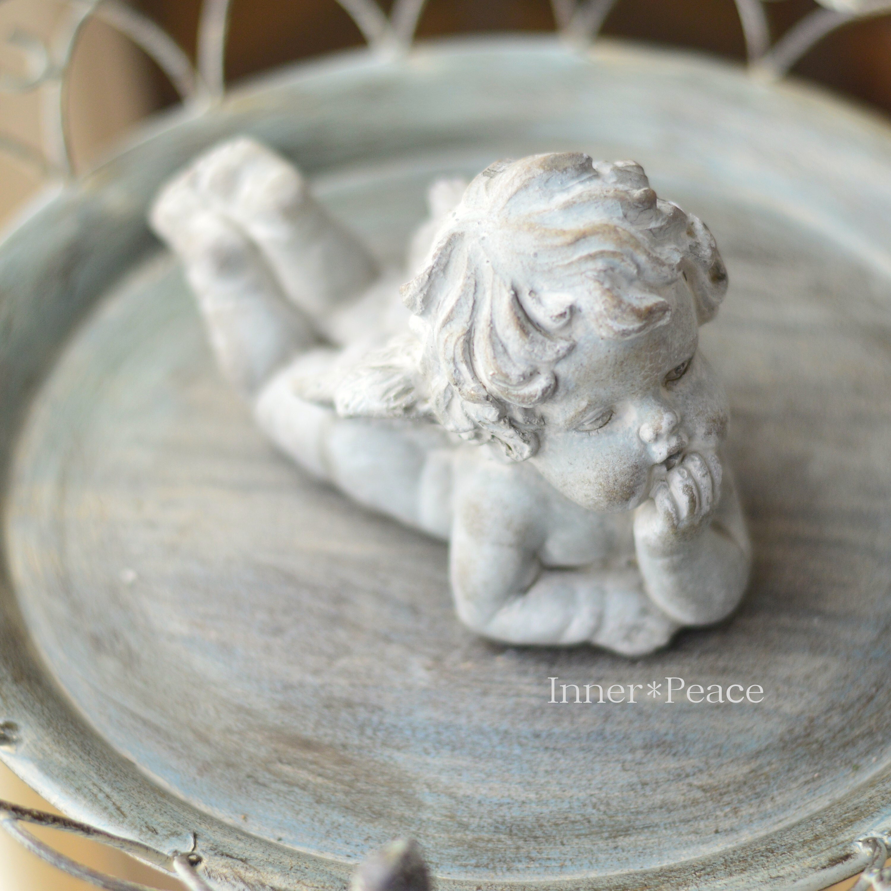 【COVENT GARDEN】 ガーデンエンジェル・ライイング (QB-17)