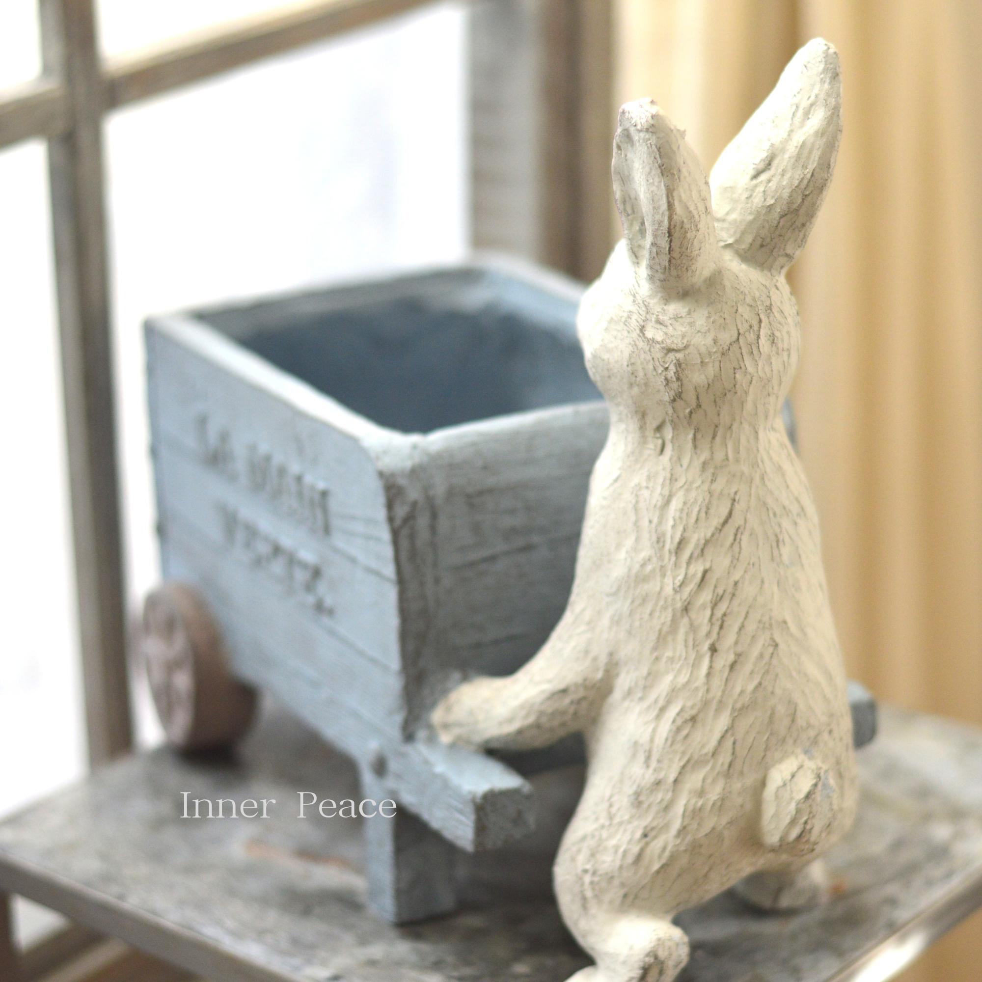 【友膳】 ラパンカート 『ブルー』 (GF4976)