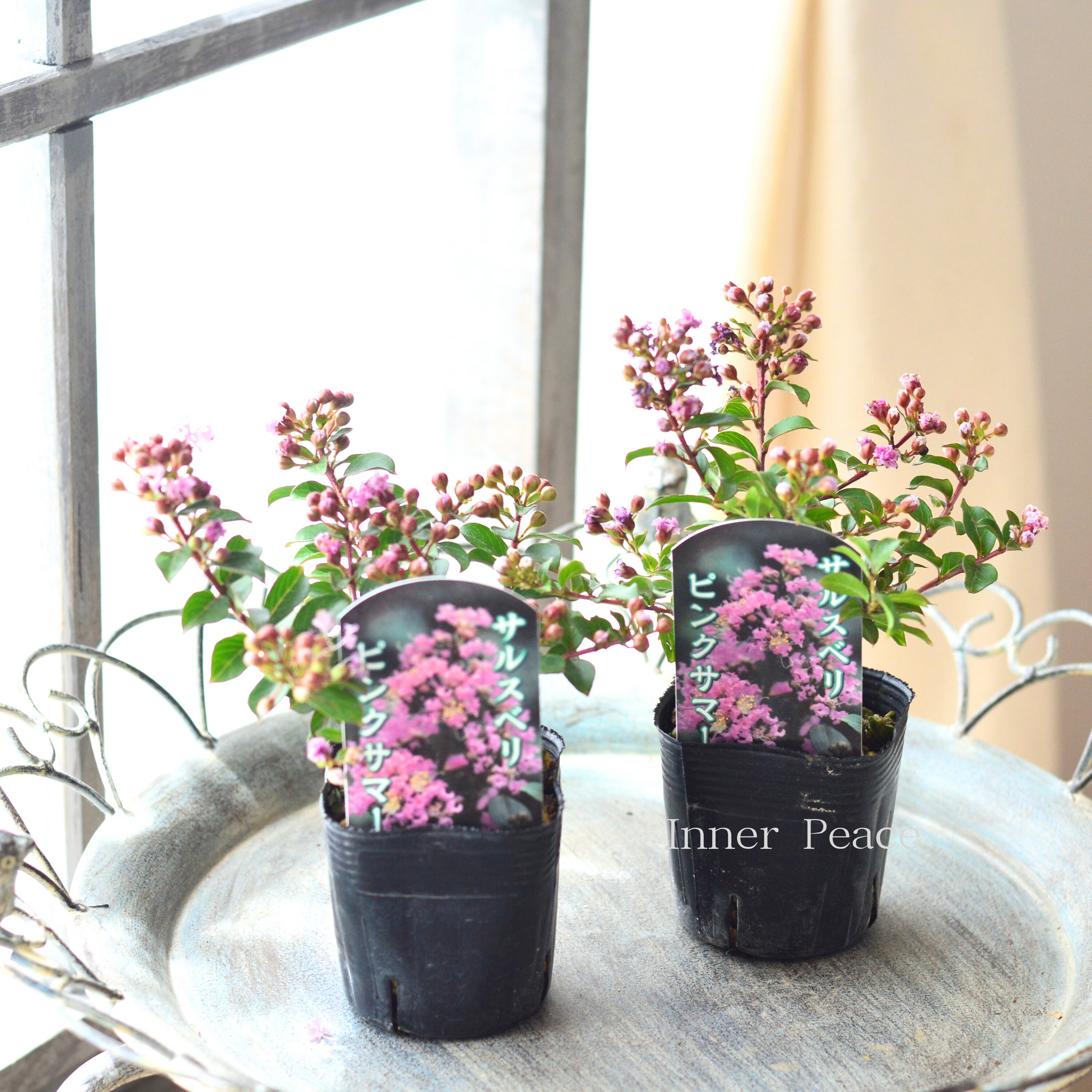 7d2c5c14309d3ce69d08e2ebcef02e 7d2c5c14309d3ce69d08e2ebcef02e