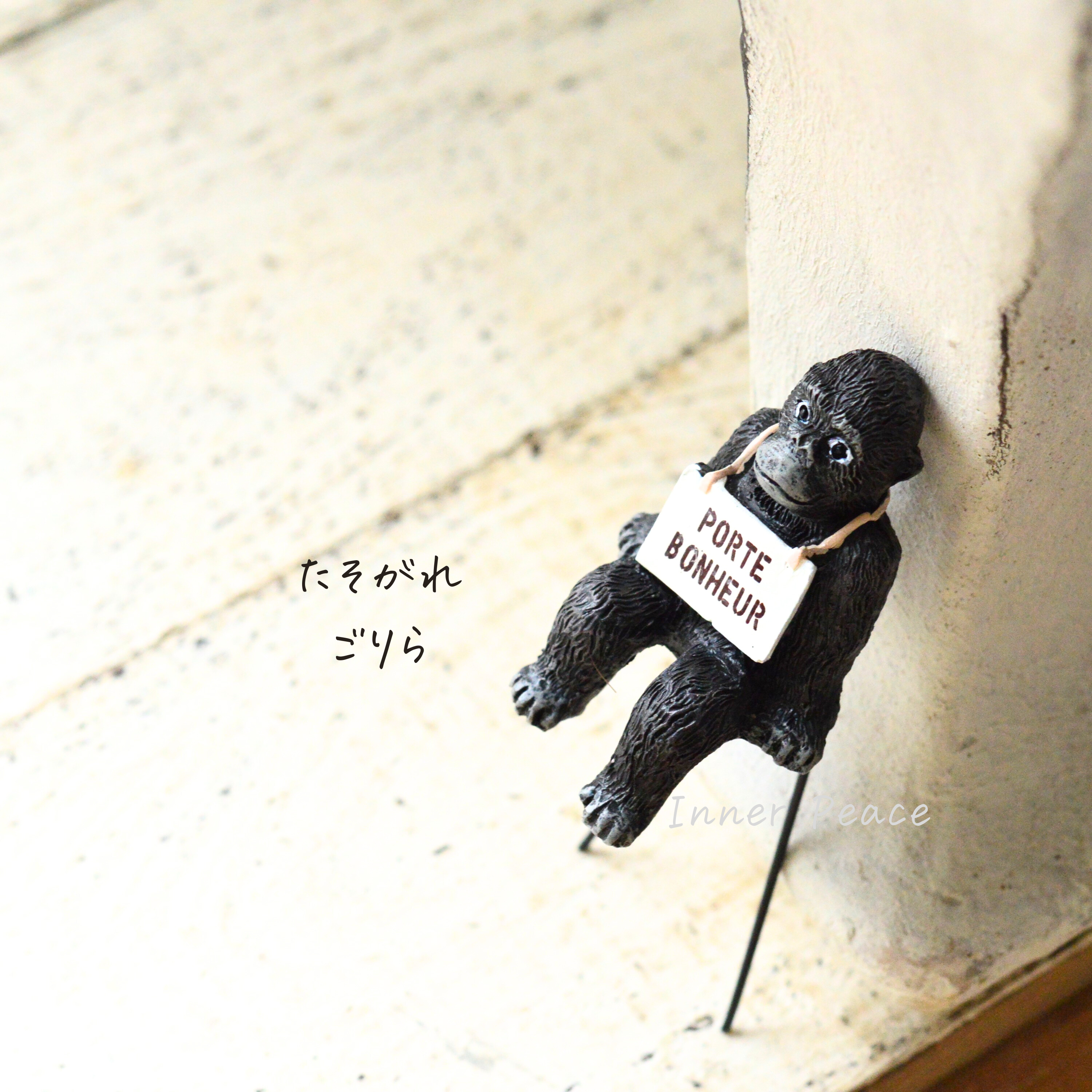 【友膳】 ゴリーユサスワールフック M