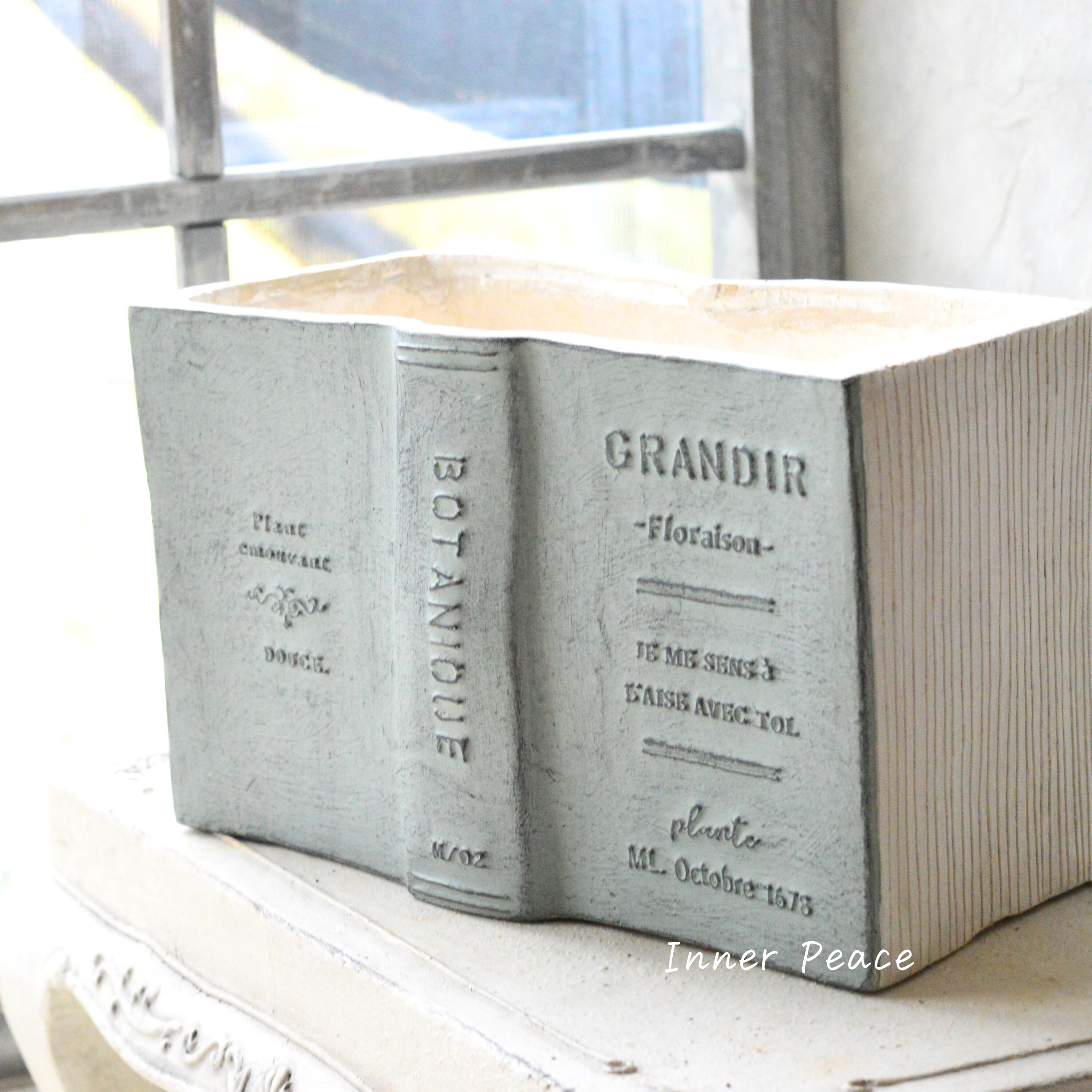 【友膳】 グランディール 『グリーン』 (GF4541)