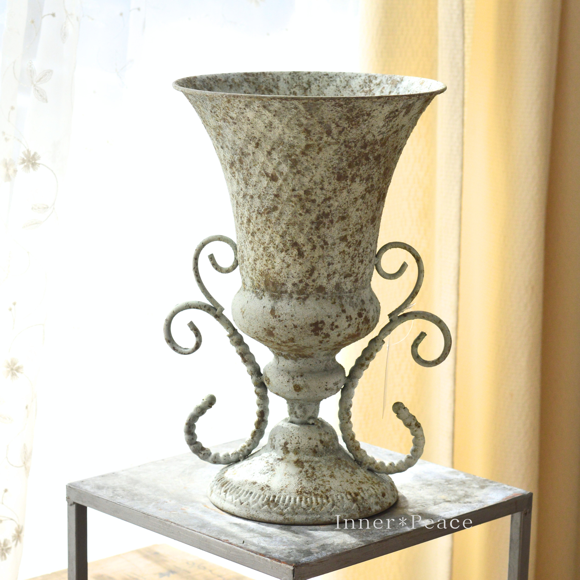 【友膳】 フェロヌリカップ 『グレー』 (UF689)