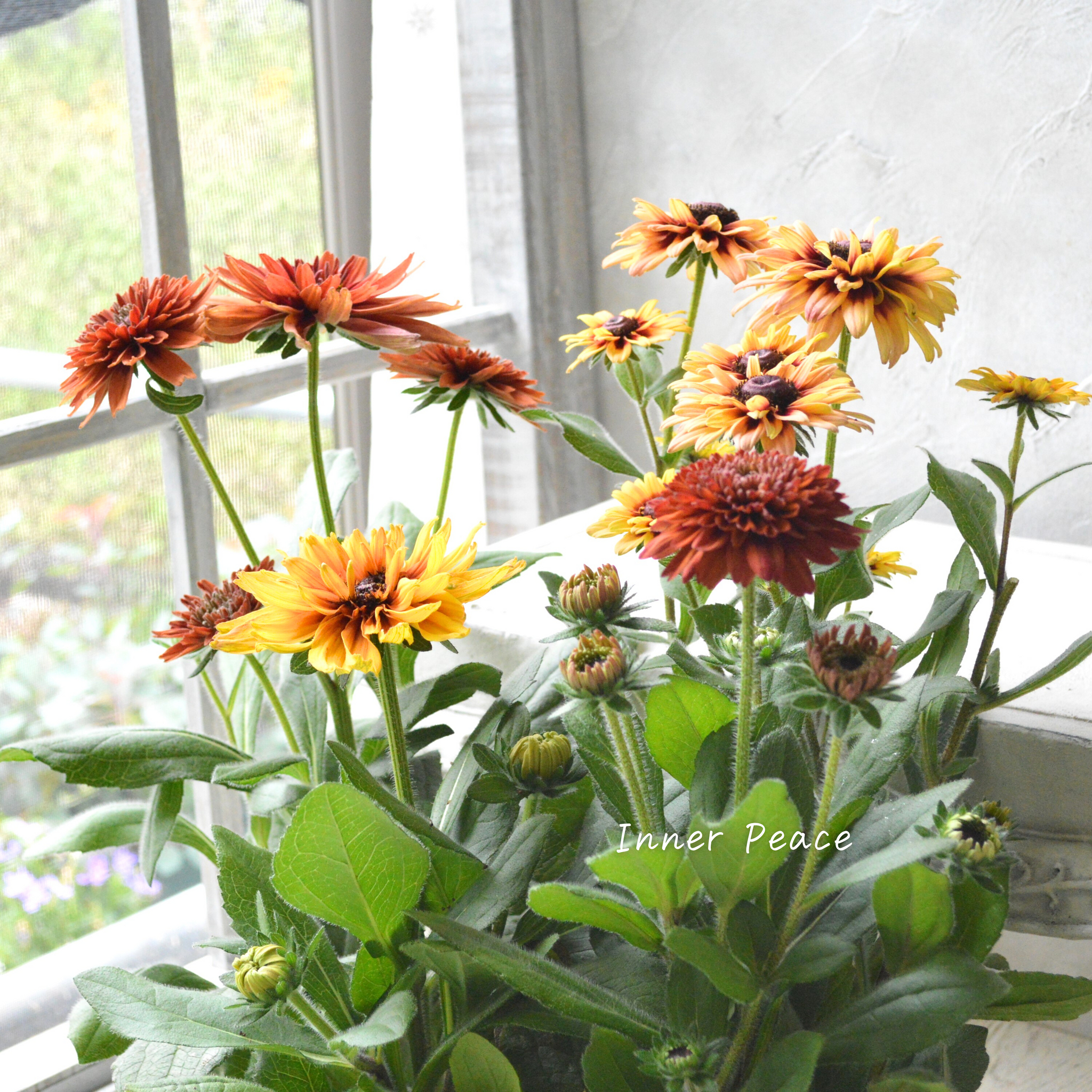 85d8ecb0980869c0f1dd5054a1684b