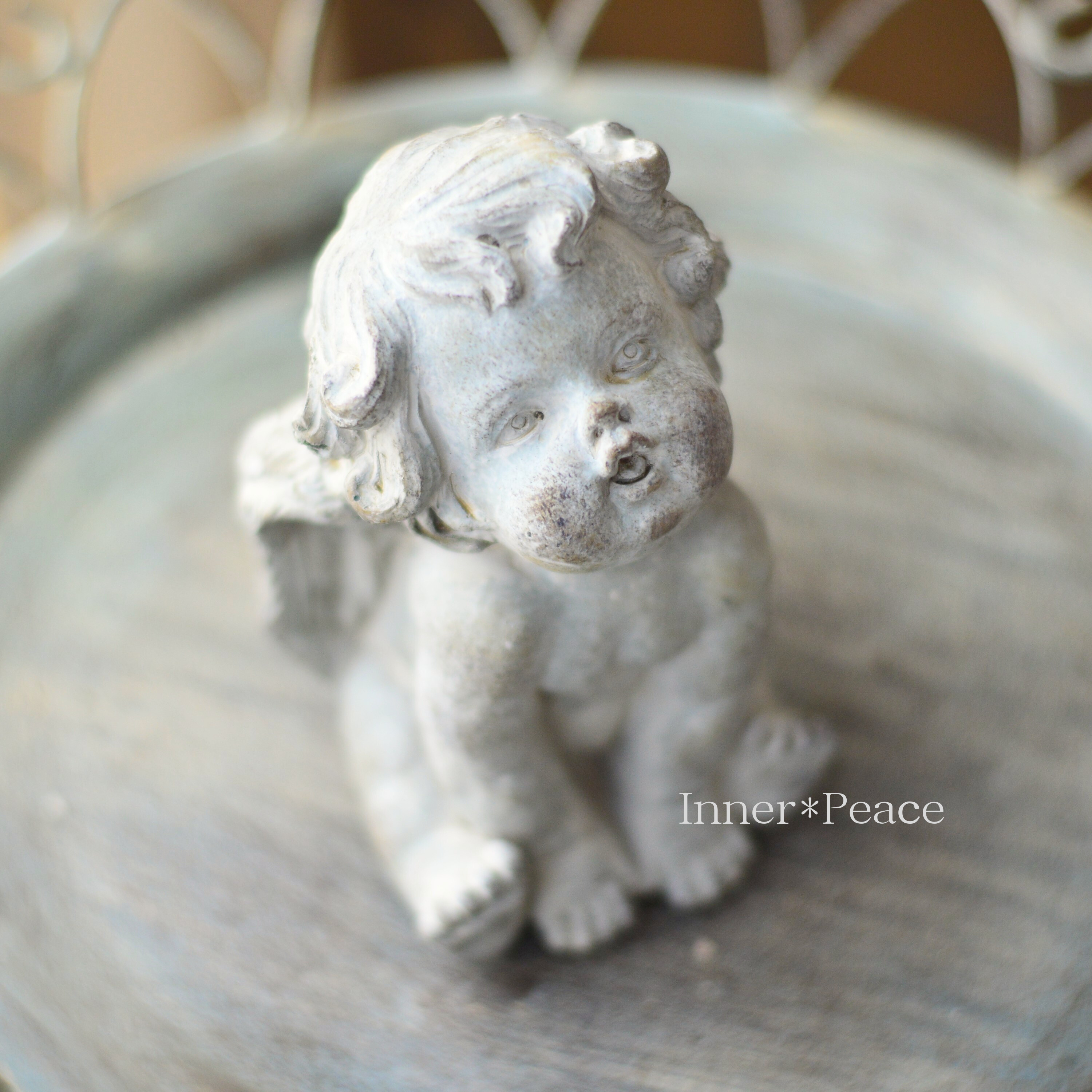 【COVENT GARDEN】 ガーデンエンジェル・シッティング (QB-13)