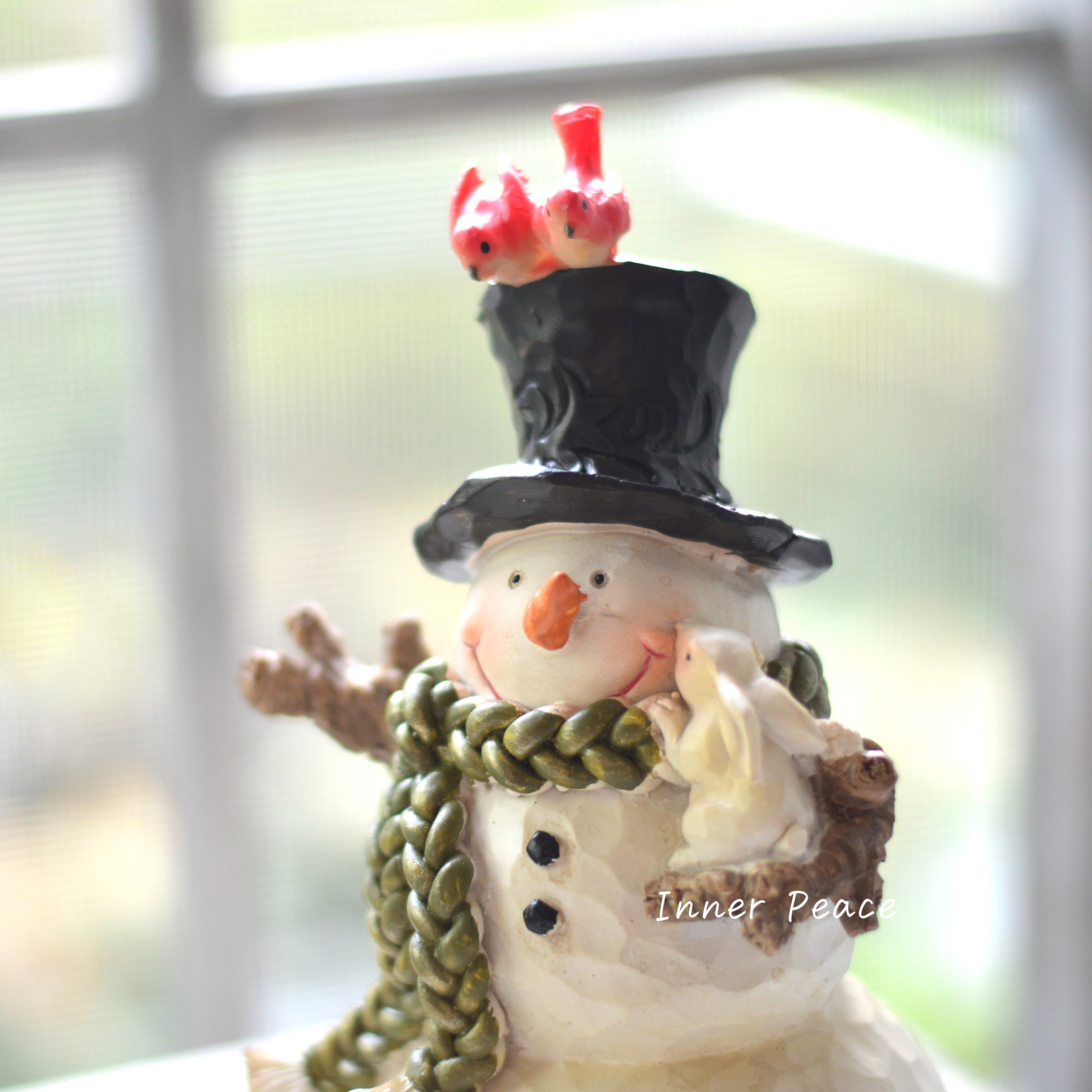 【CARNAC】 ノエルスノーマン04 (HGX21)