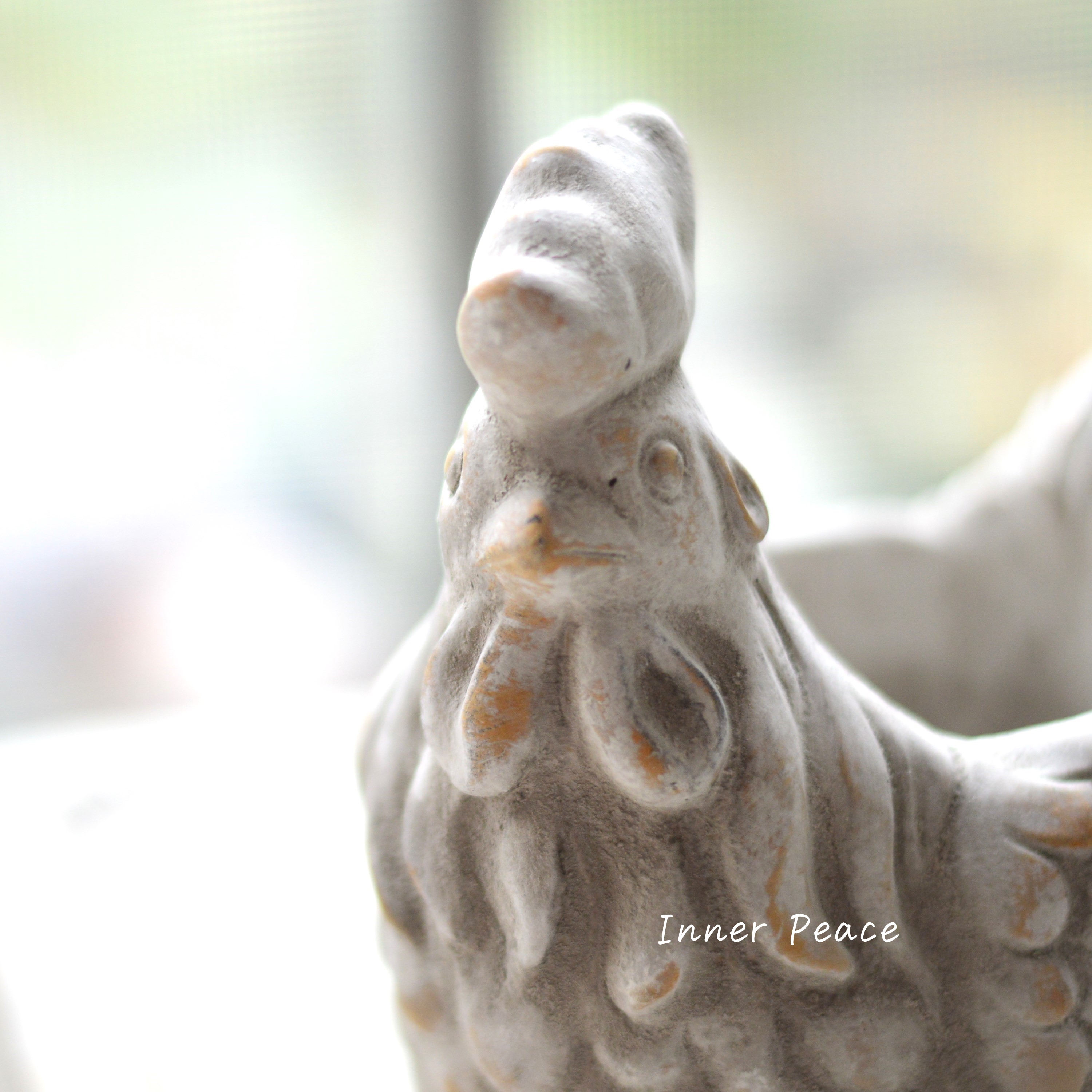 【MURATAYA】 コッコポット