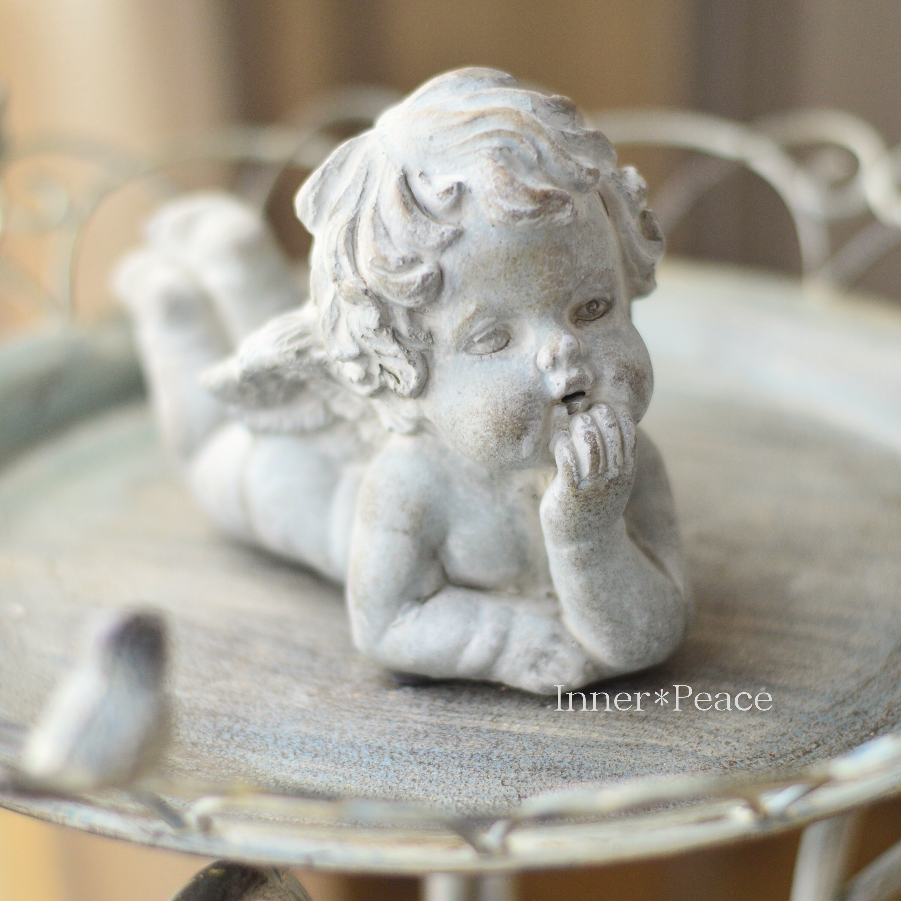 【COVENT GARDEN】 ガーデンエンジェル・ライイング (QB-17)