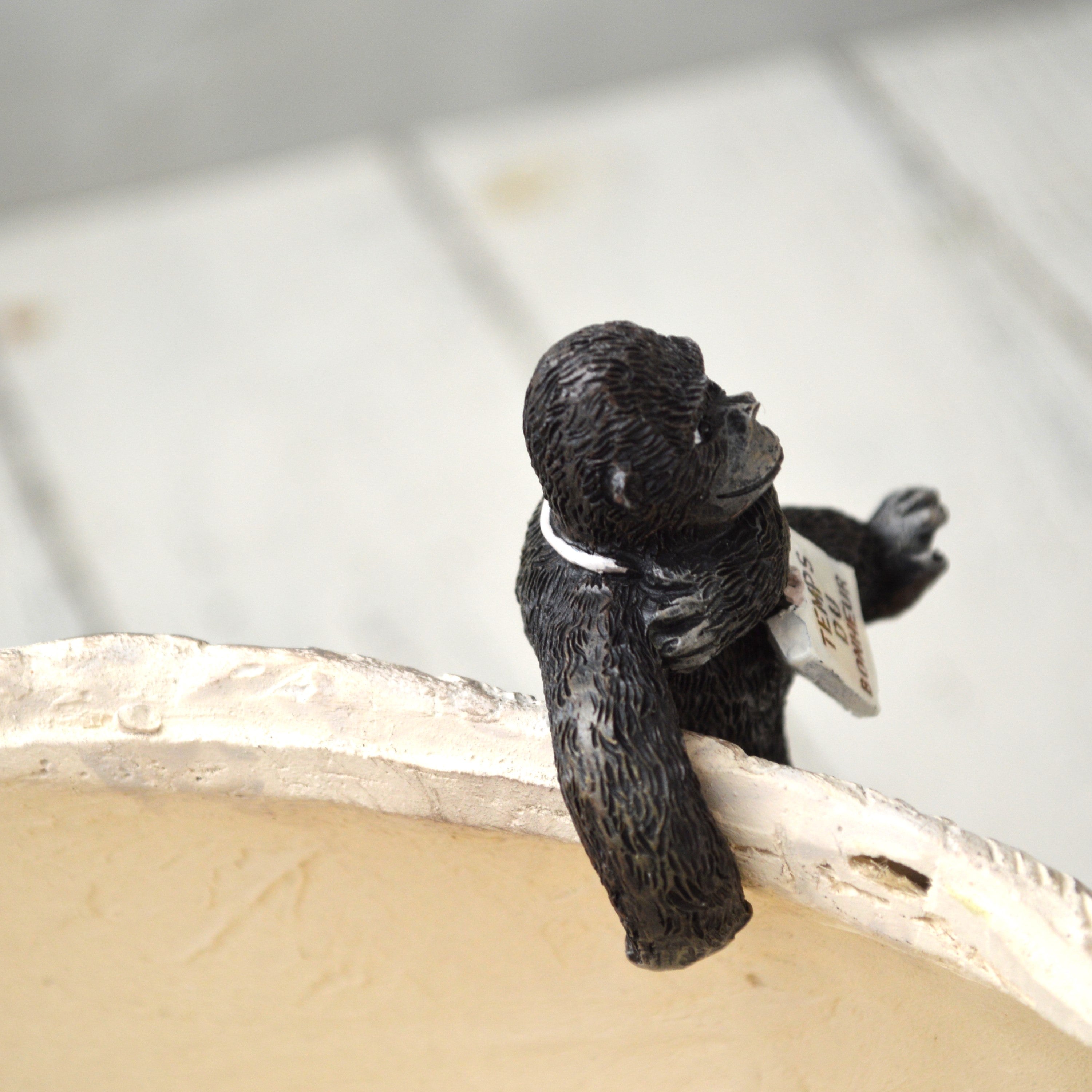 【友膳】 ゴリーユフック