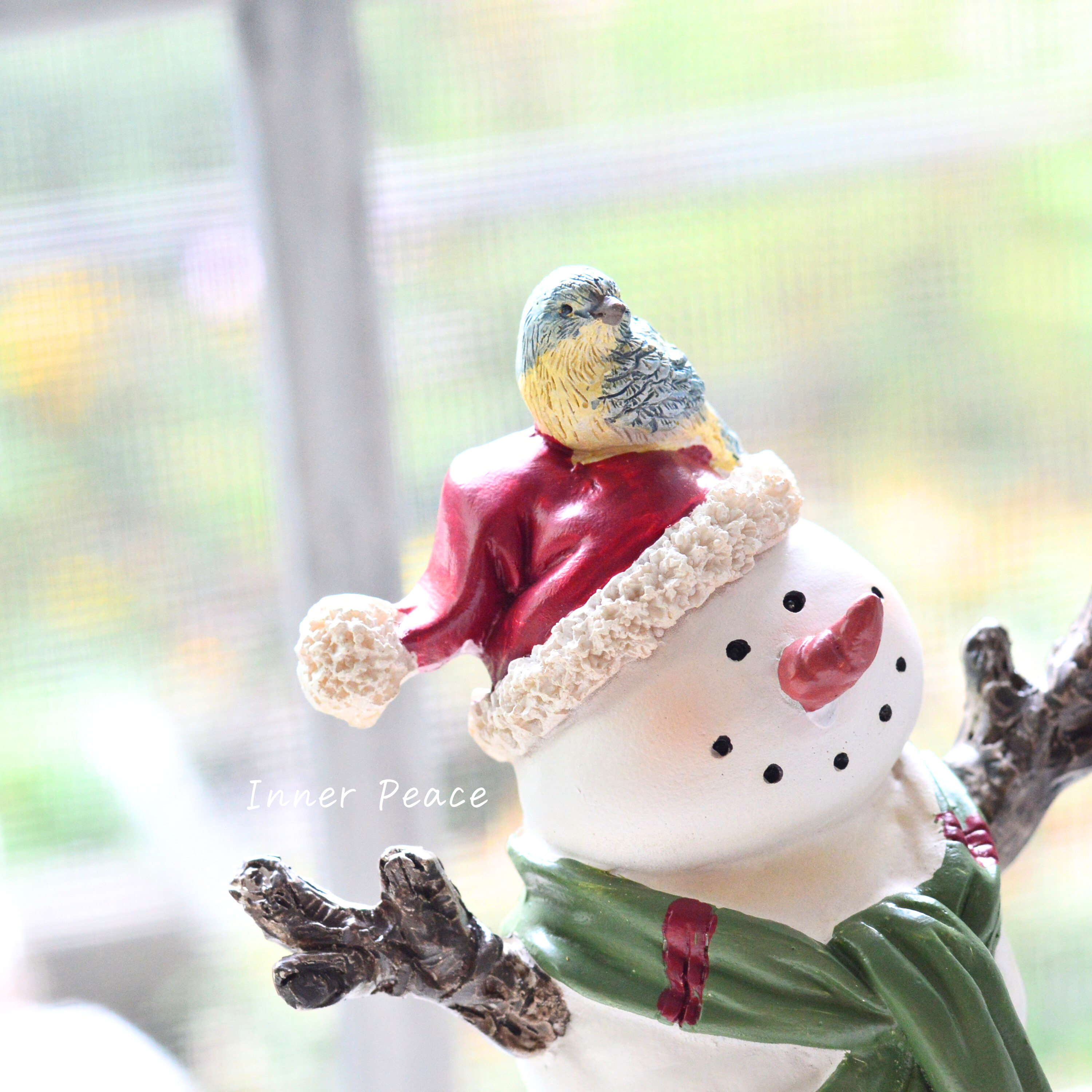 【CARNAC】 ノエルスノーマン05 (HGX22)