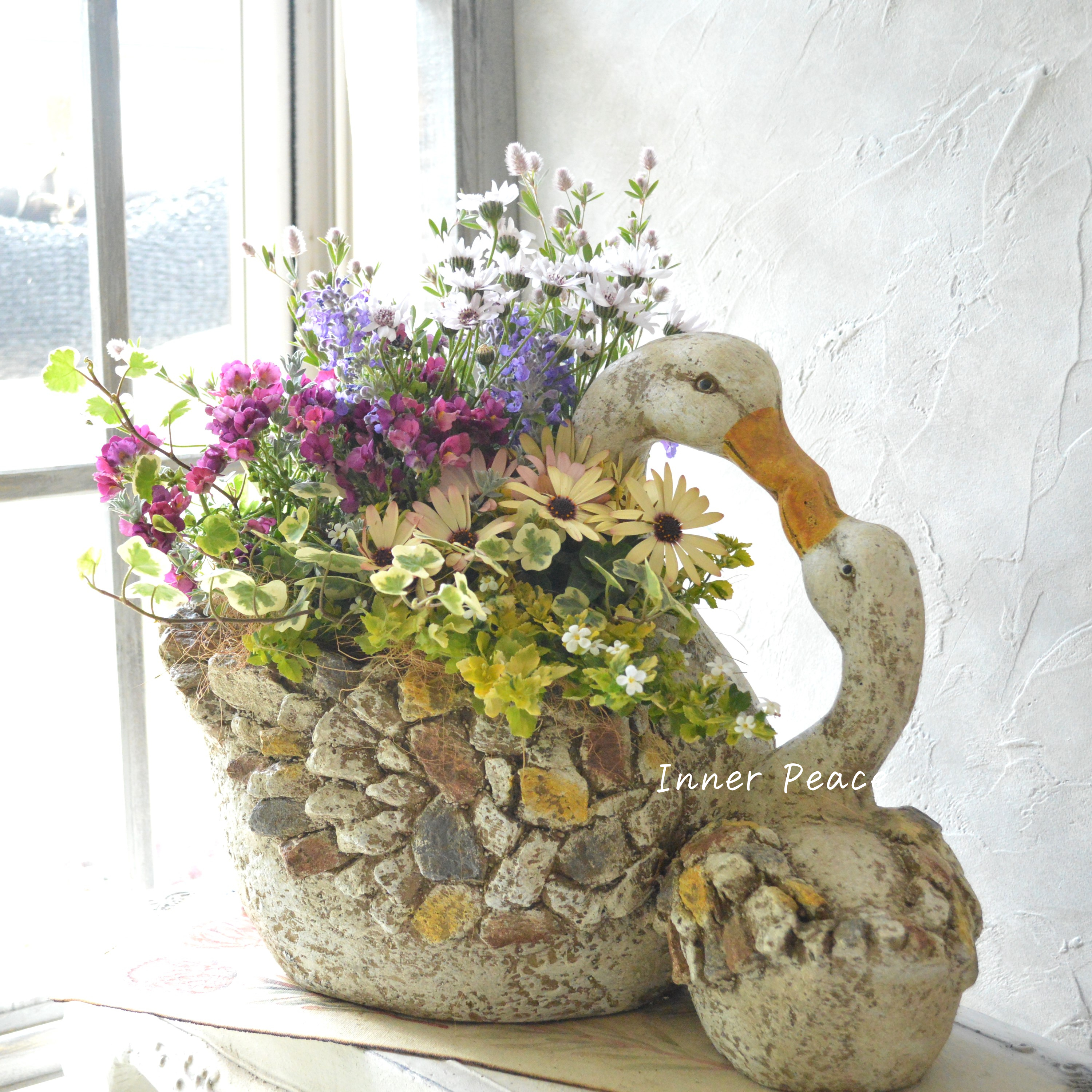 【春】 かわいいスワンの親子ポットでギャザリング