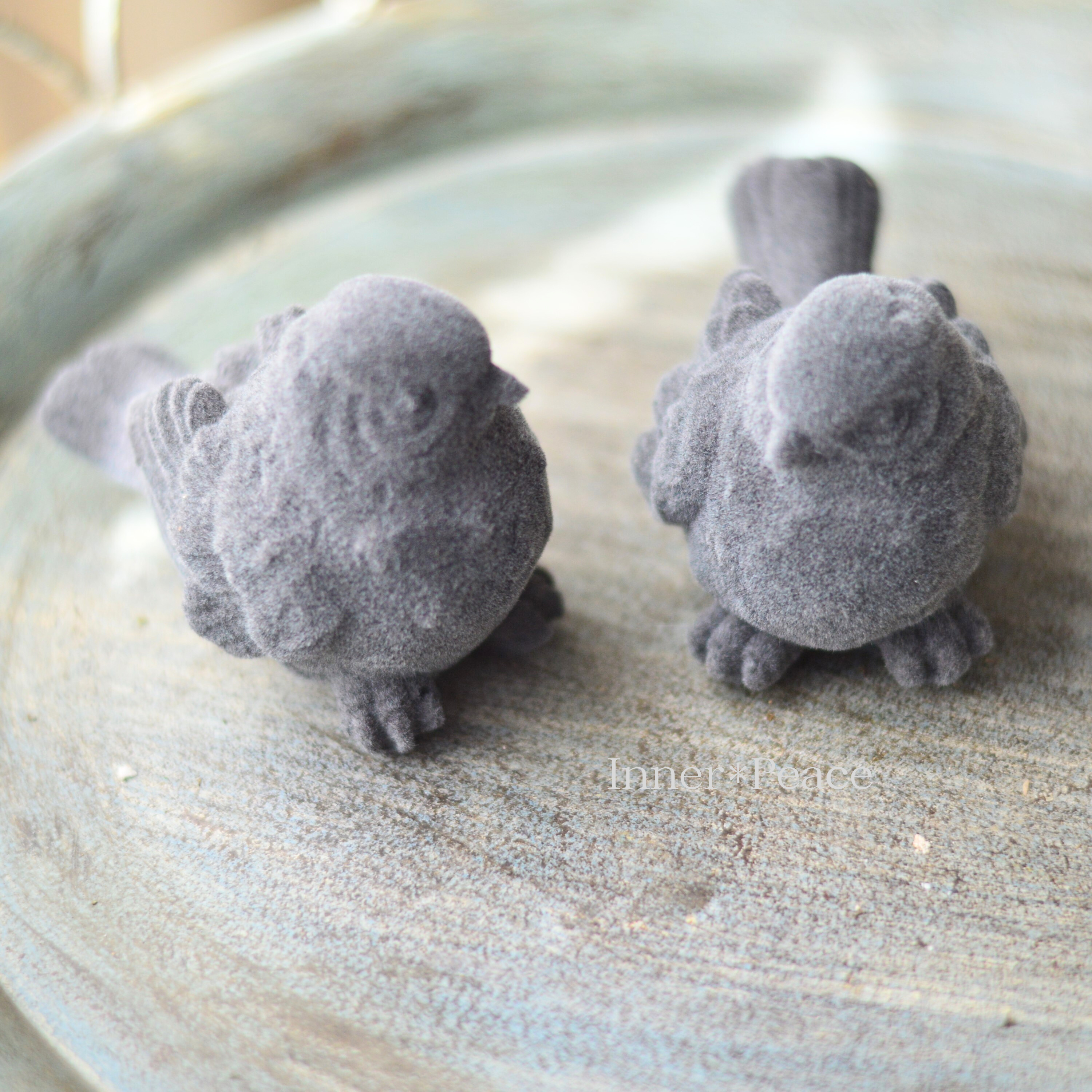 【COVENT GARDEN】 ツーディバード2種アソート (KW-82)