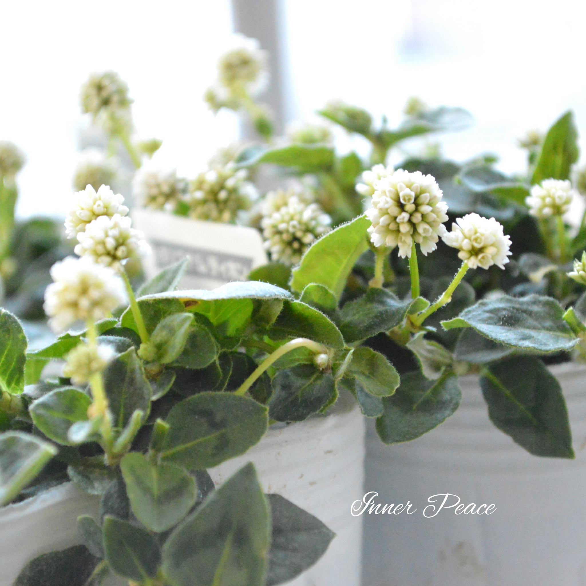 9f88707e5dfd55c95407ca3dd64b68