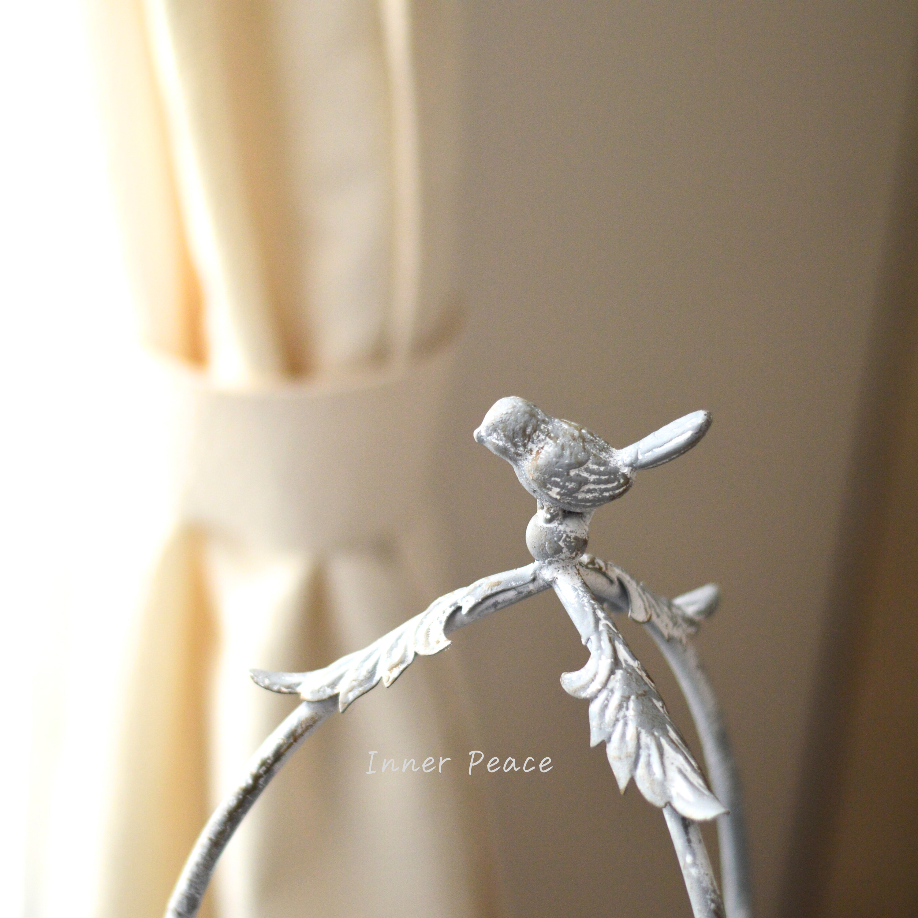 【COVENT】 アルジャンテ・レッグスタンド (BL-03)