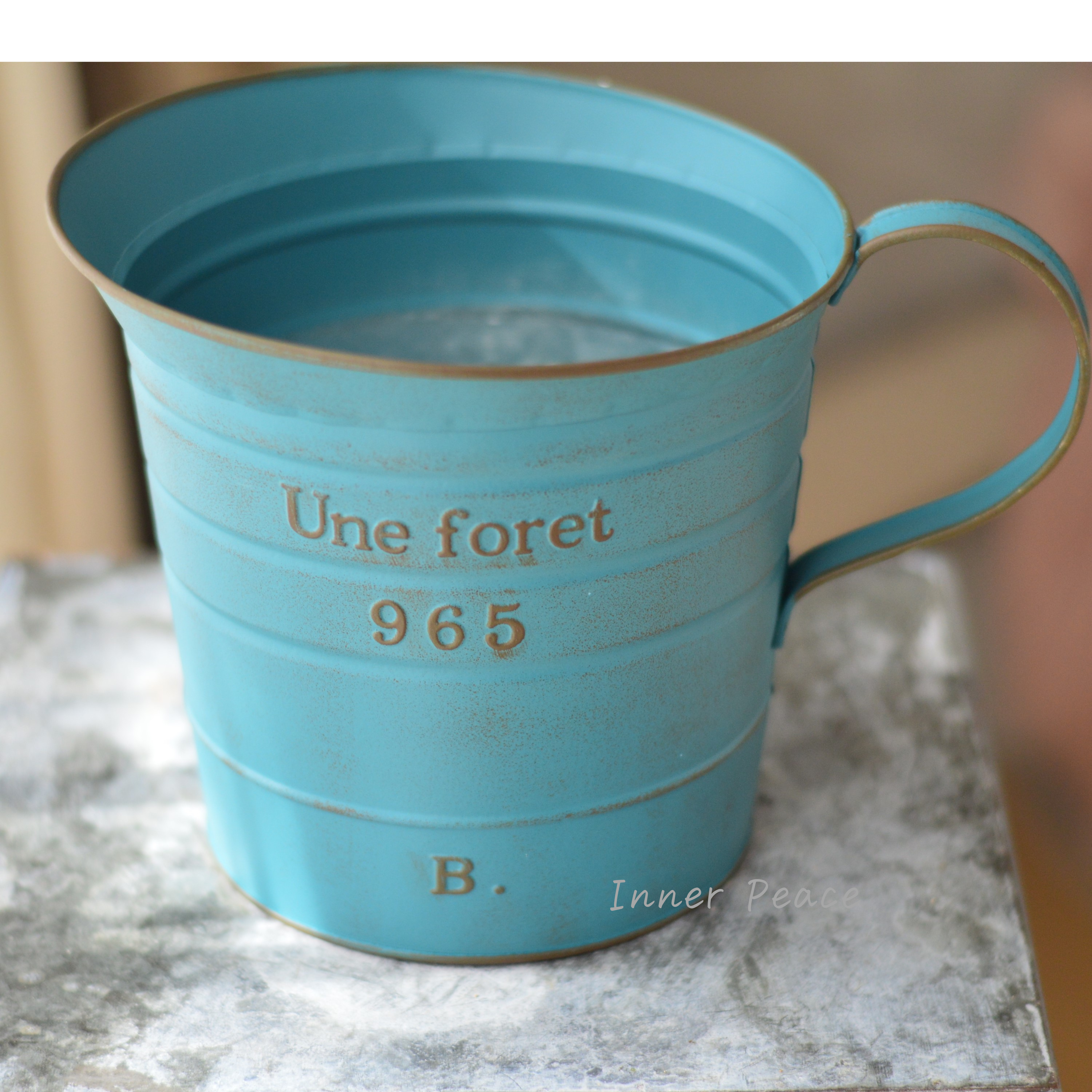 【友膳】 ユヌフォレピッチャー 『ブルー』 (MA2527)