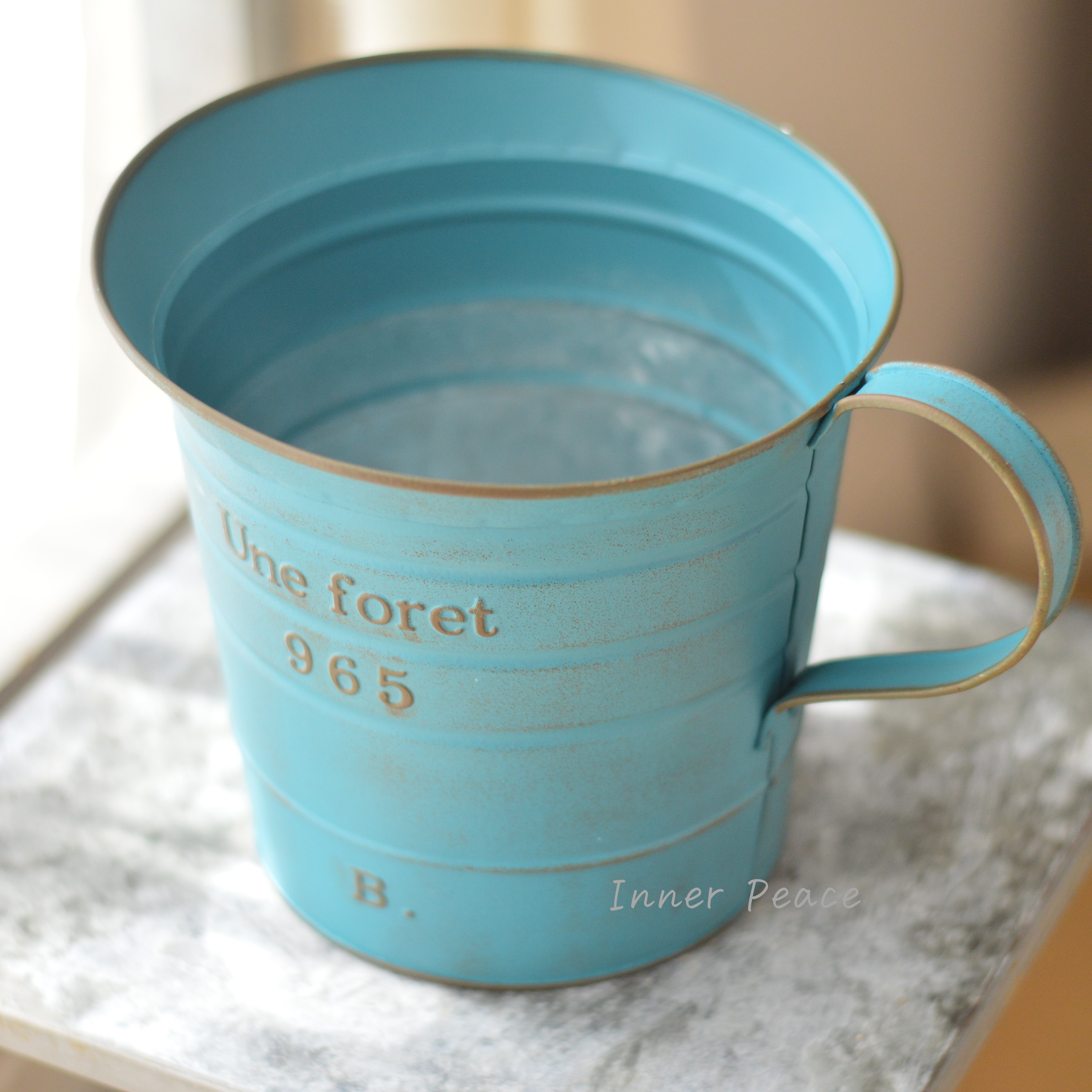 【友膳】 ユヌフォレピッチャー 『ブルー』 (MA2527)