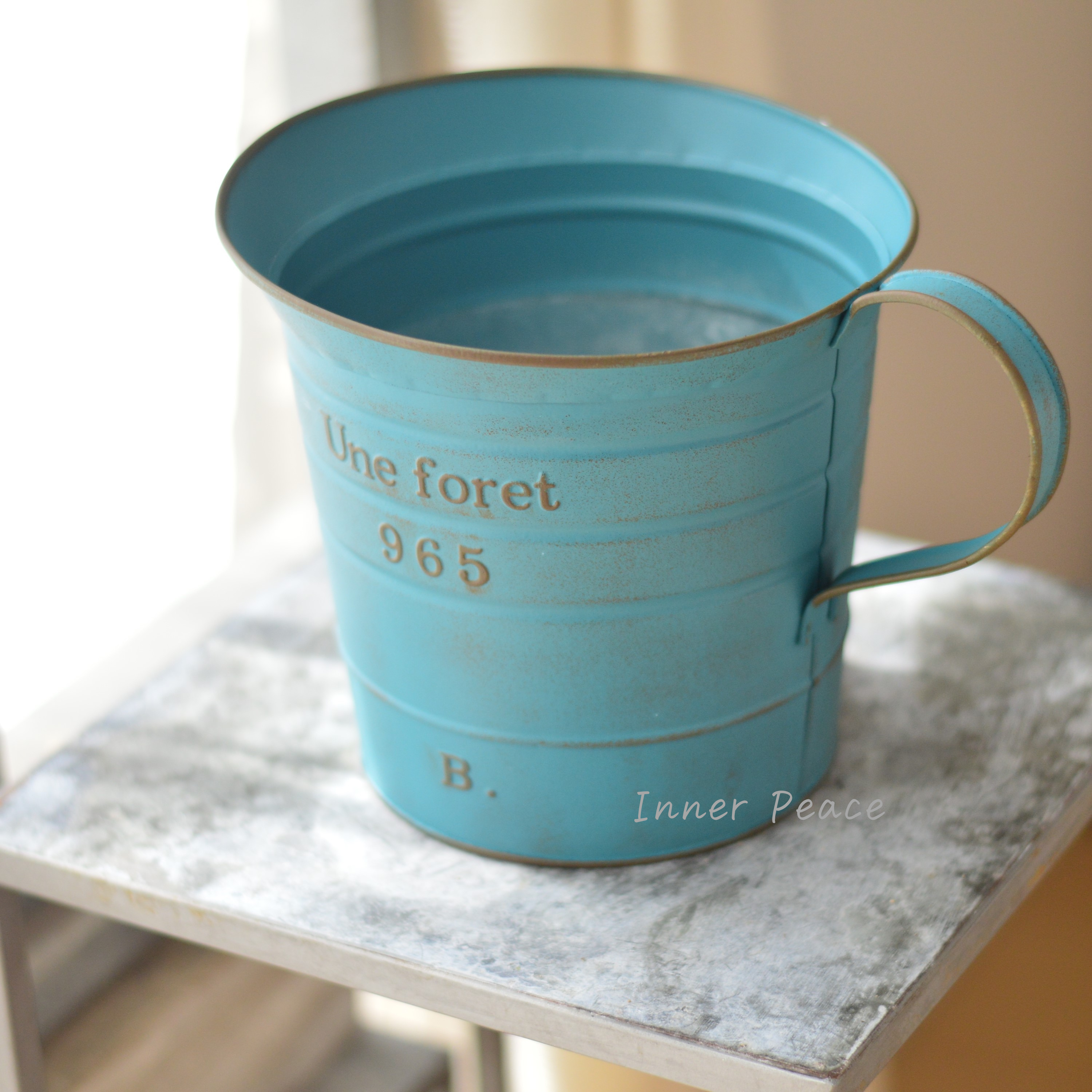 【友膳】 ユヌフォレピッチャー 『ブルー』 (MA2527)