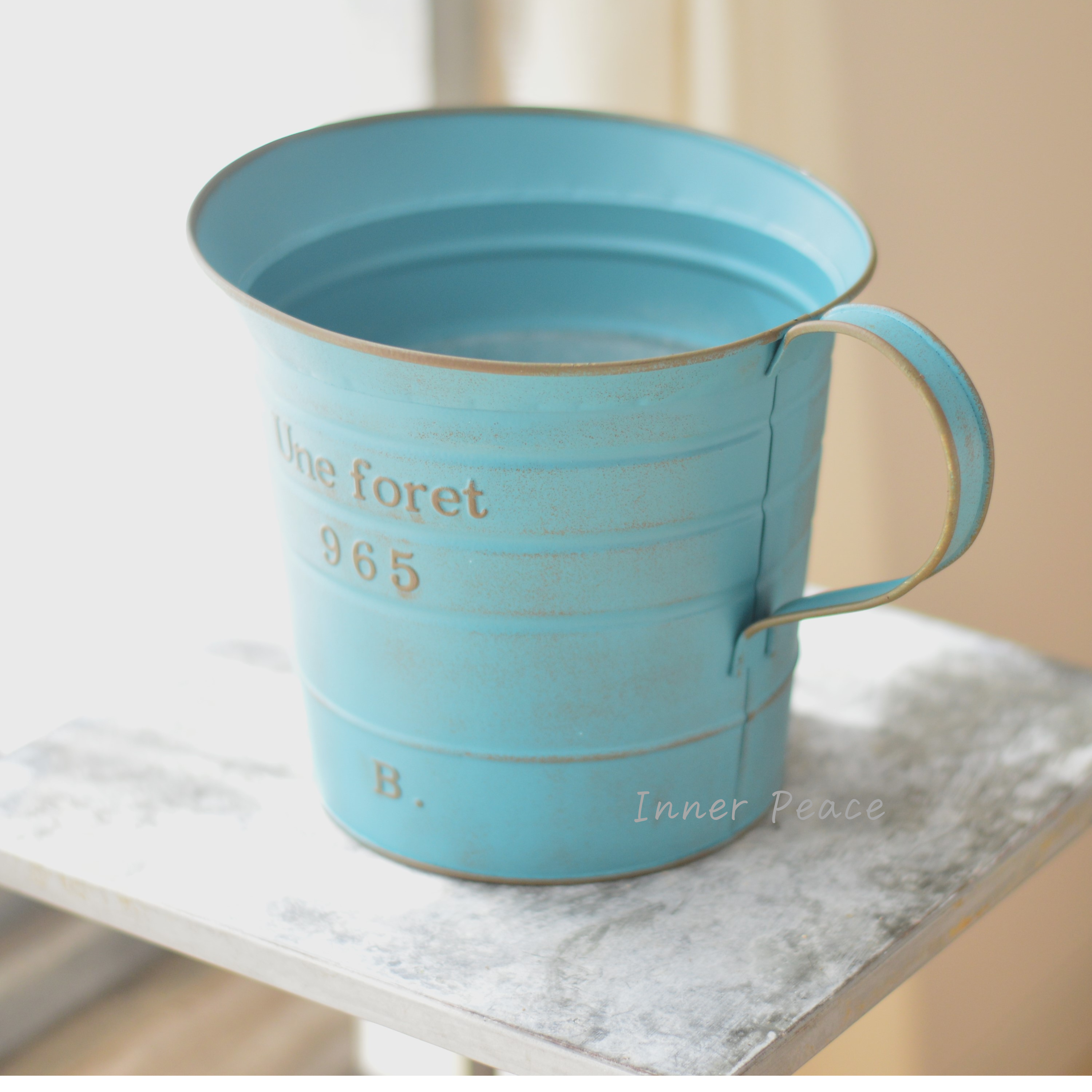 【友膳】 ユヌフォレピッチャー 『ブルー』 (MA2527)