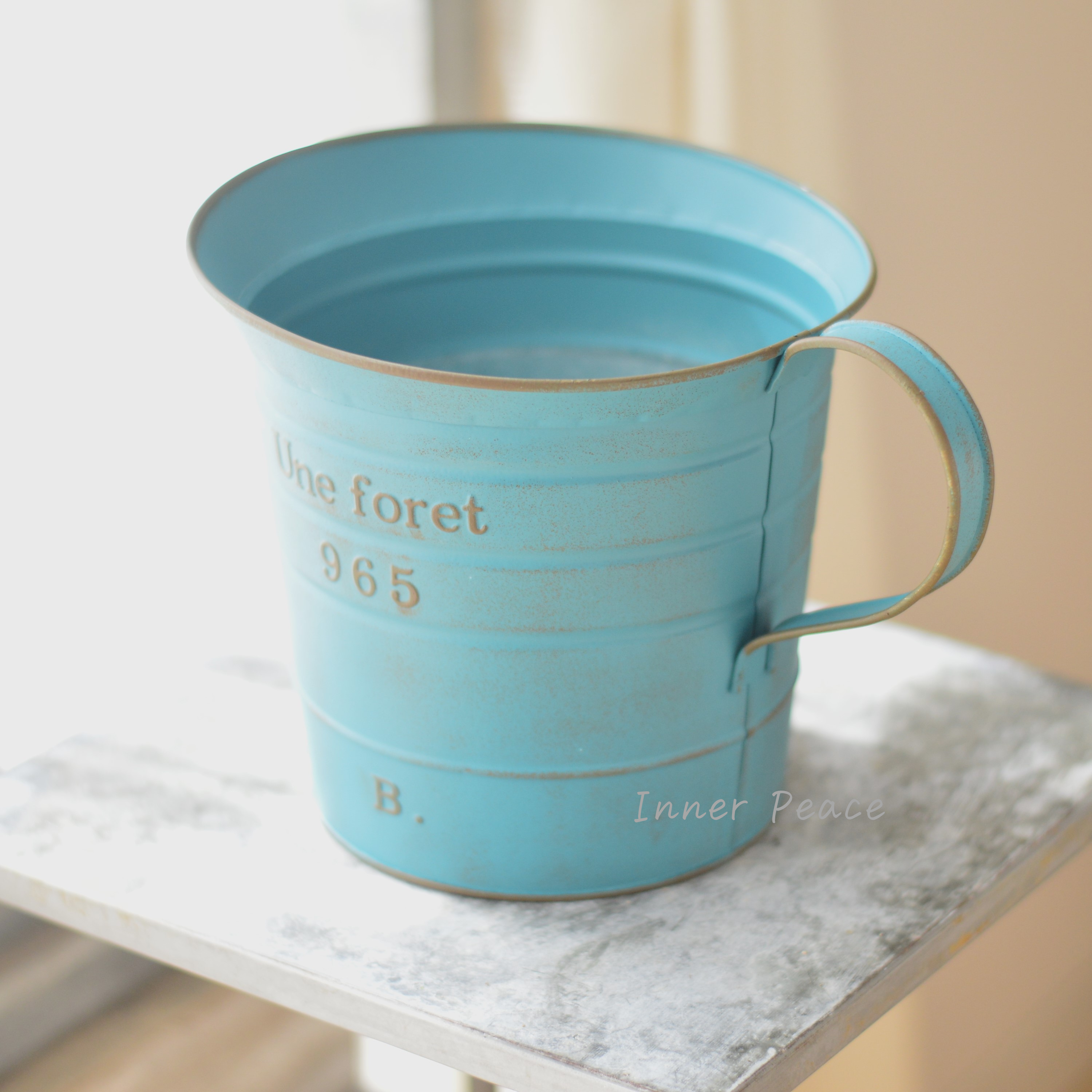 【友膳】 ユヌフォレピッチャー 『ブルー』 (MA2527)