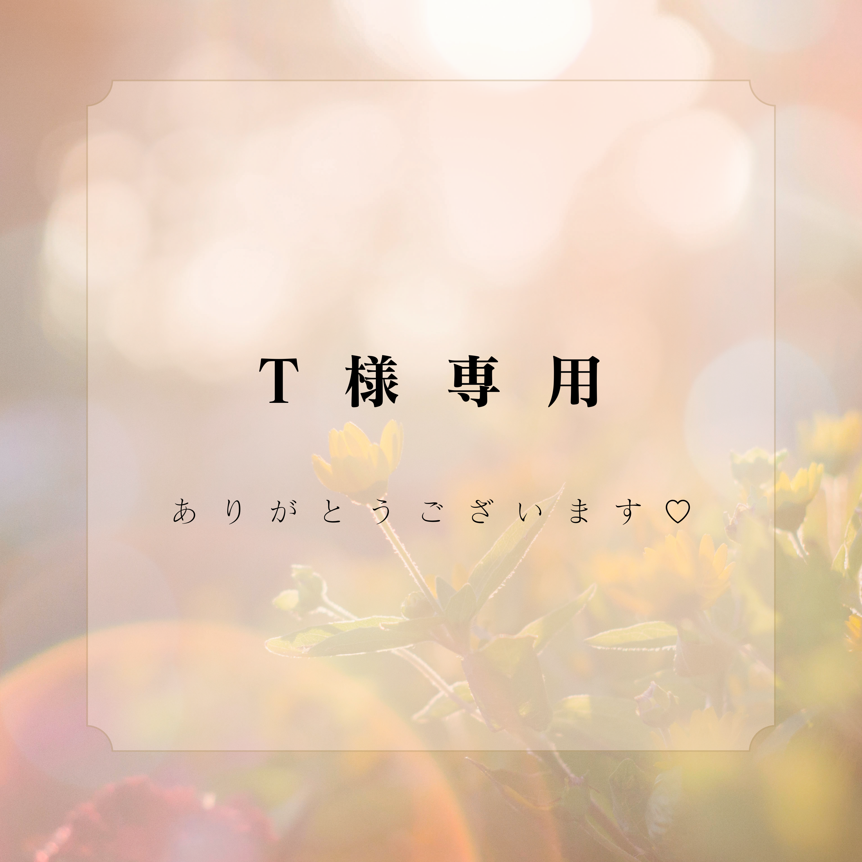 【T様専用ページ】