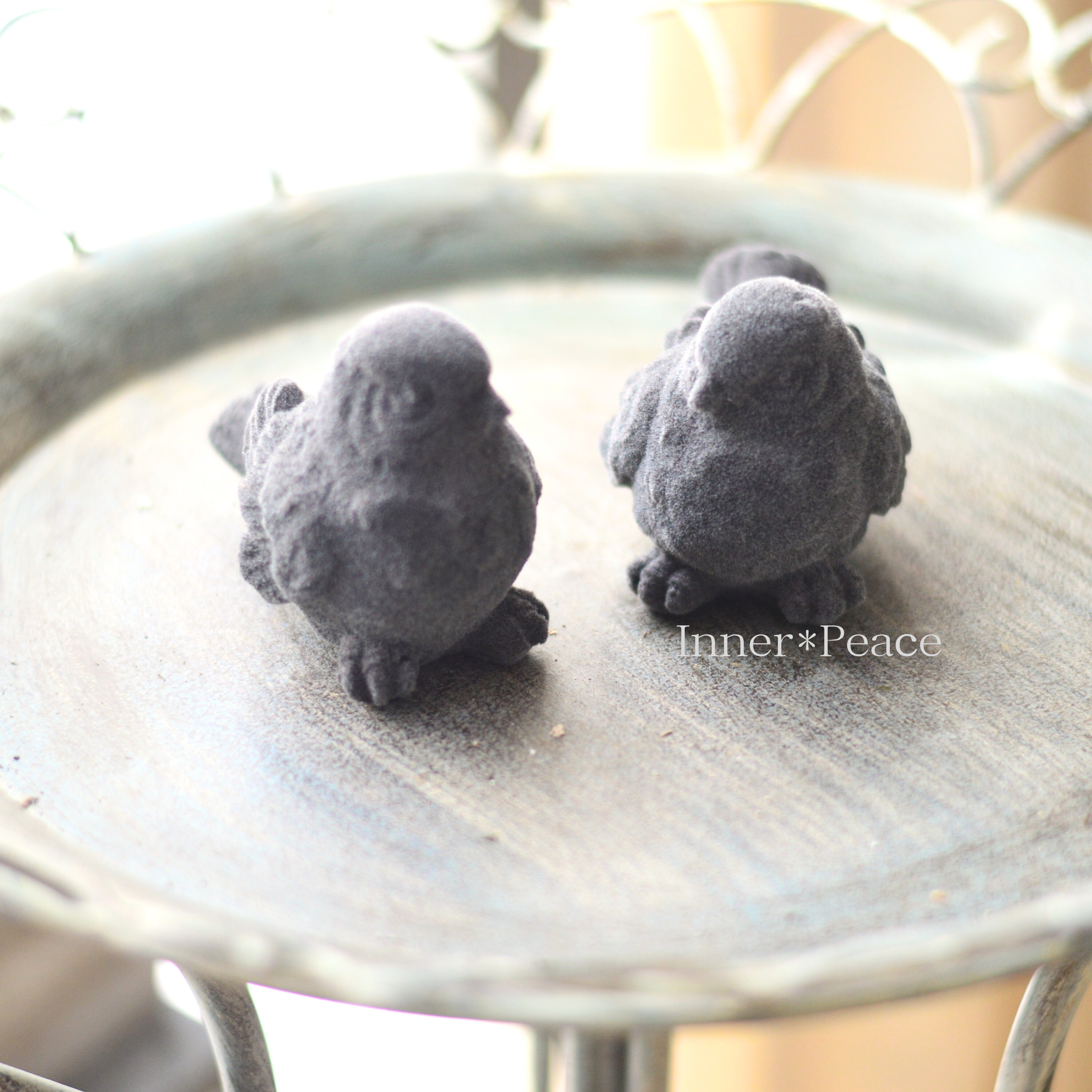 【COVENT GARDEN】 ツーディバード2種アソート (KW-82)