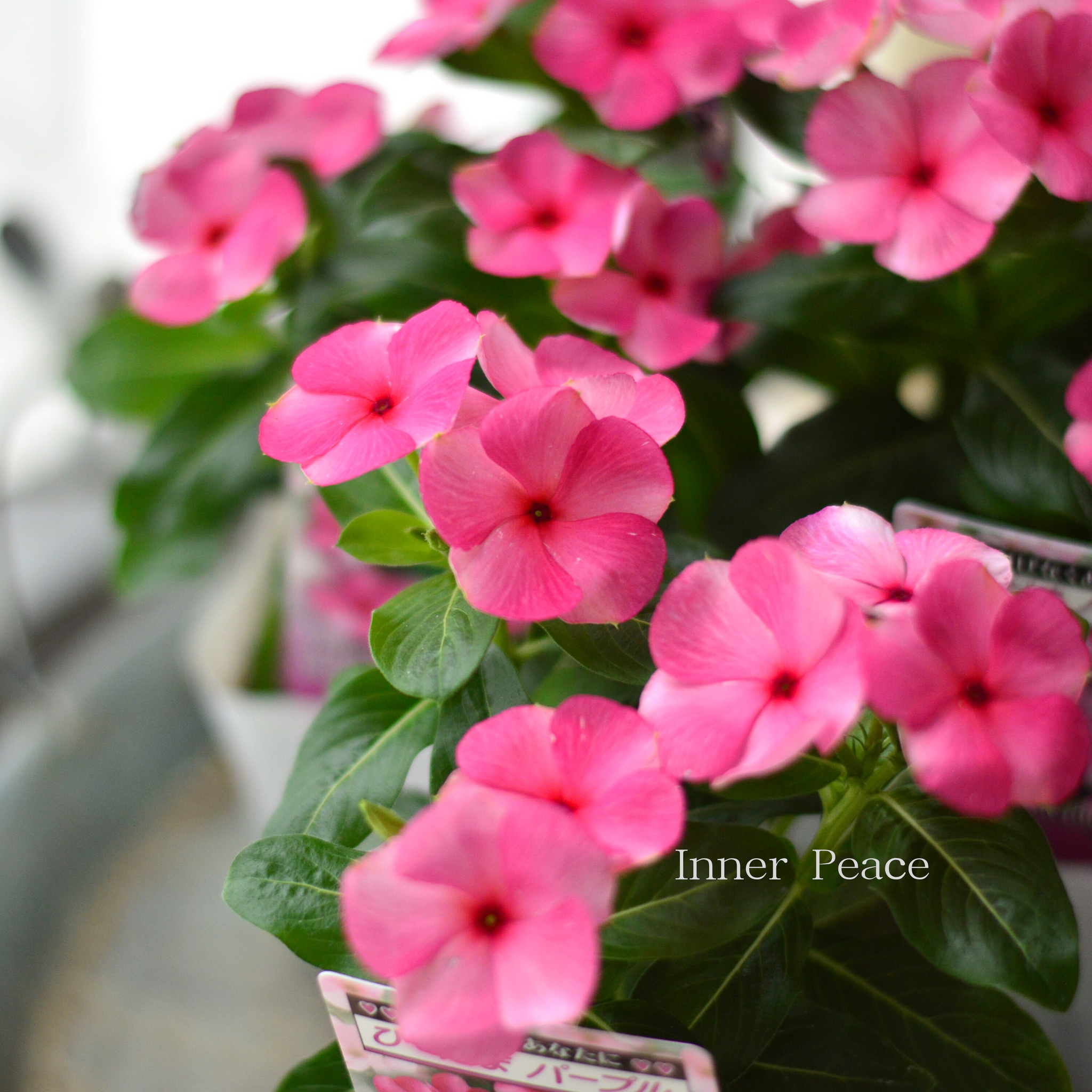 a7383358fde8089c00c95d8c29ea5b