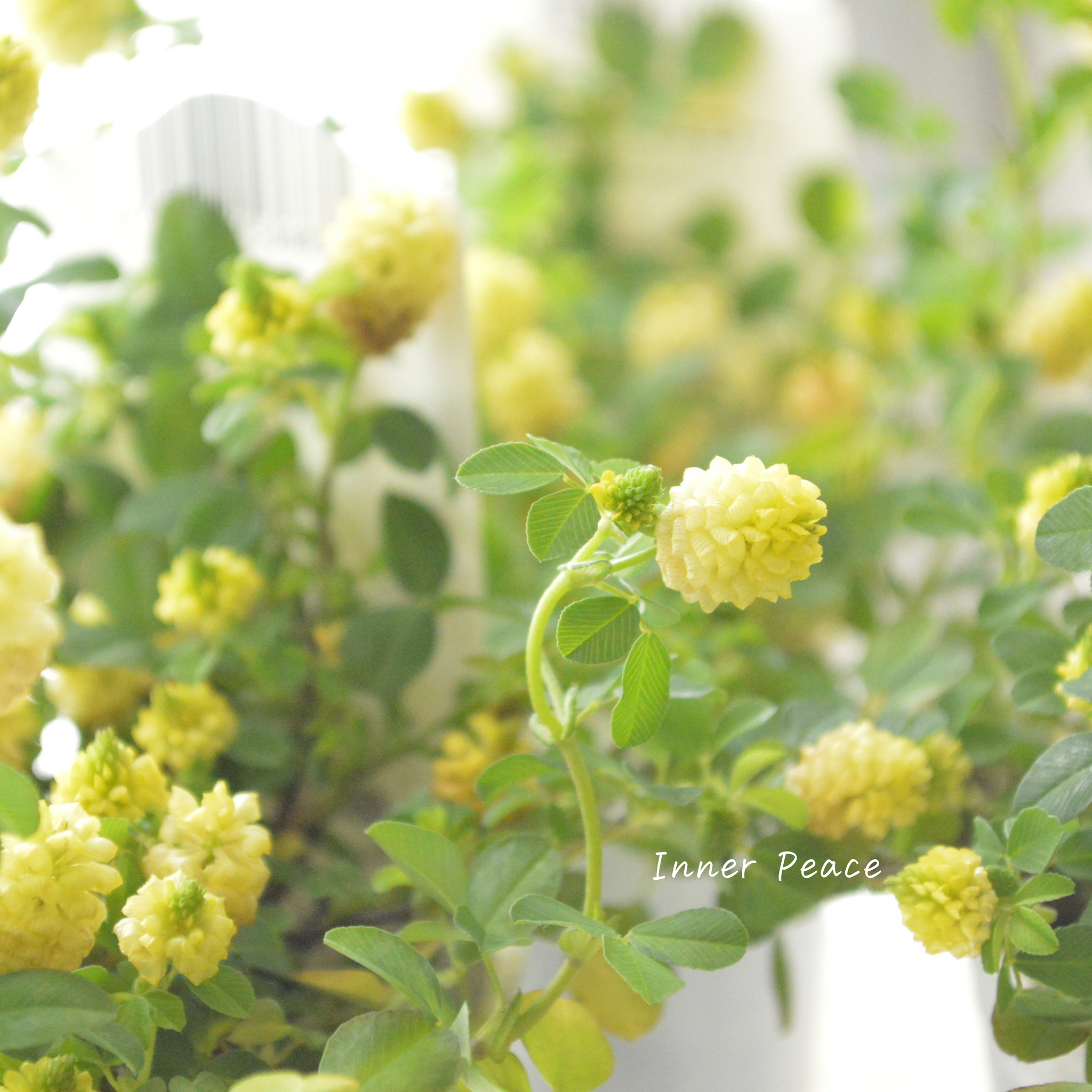 a7b4fbc8d5e255b6a9070795fd4444