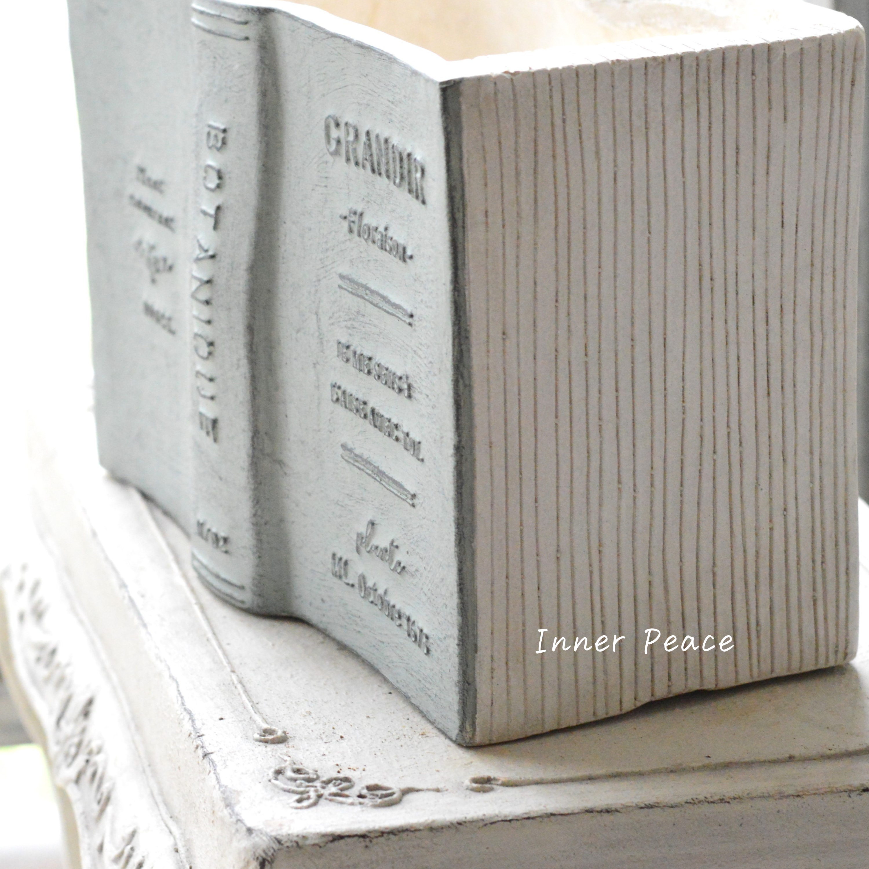 【友膳】 グランディール 『グリーン』 (GF4541)